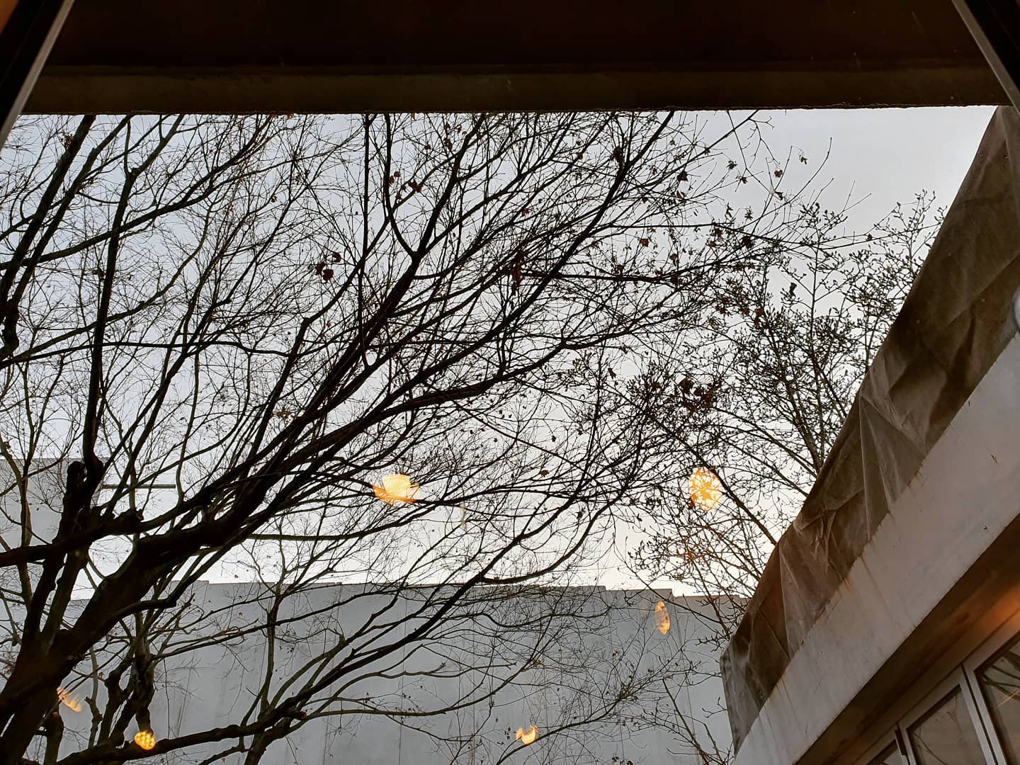 창에 비친 전등 불빛이 나무에 걸린 감 같아서,
사랑해라는 말도 영업종료 시간에 맞춰 조용히 꺼졌나보다.

날이 밝으면 다시 그 자리에 또 다시 걸려있을,
하지만 혀 끝을 달달하게 만드는 진짜 감은 아닌 것처럼.

그저 인생에서 깜박일뿐인.

#글귀 #글스타그램 #에세이 #공감 #새벽감성 #글귀스타그램 #사랑글귀 #이별글귀 #메모 #감성 #짧은글 #일상 #소통 #데일리 #일상스타그램 #작가 #강소을 #글쟁이