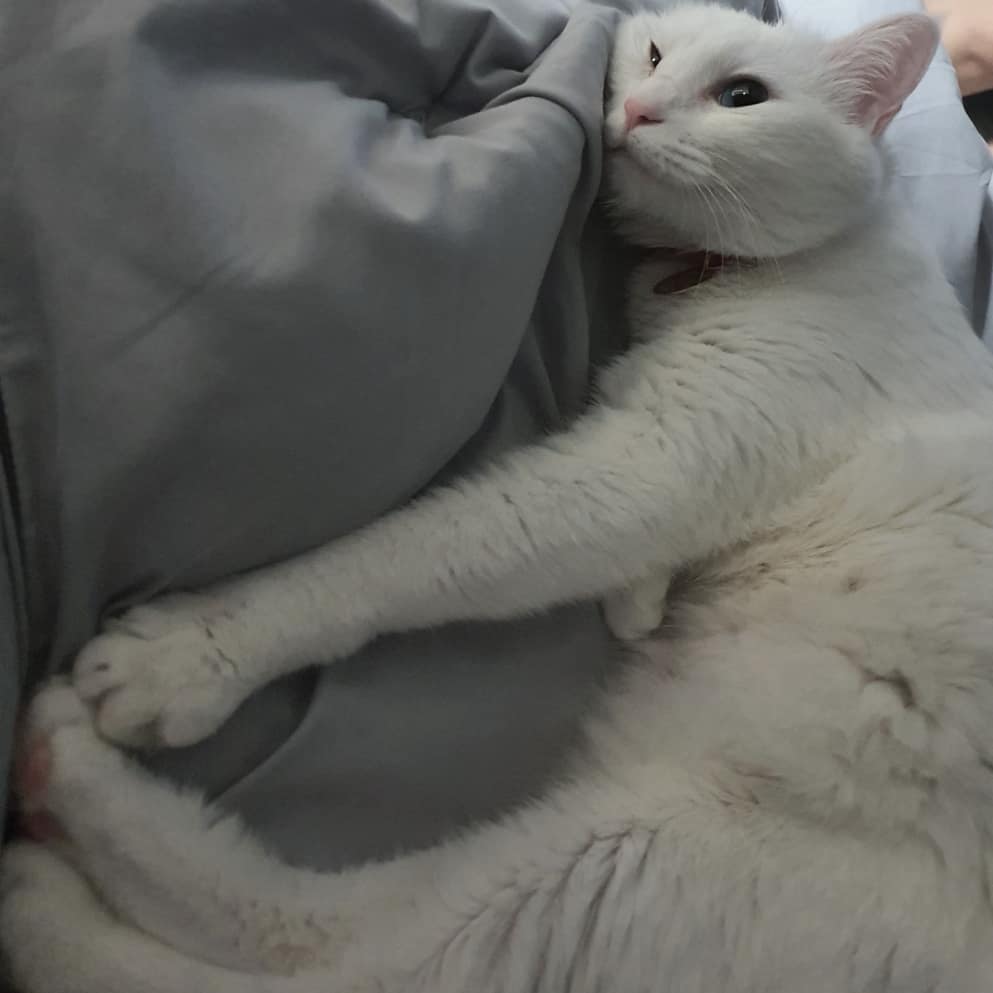210316🧻
.
.
그냥 우리 휴지가 넘 귀여워성..🤍