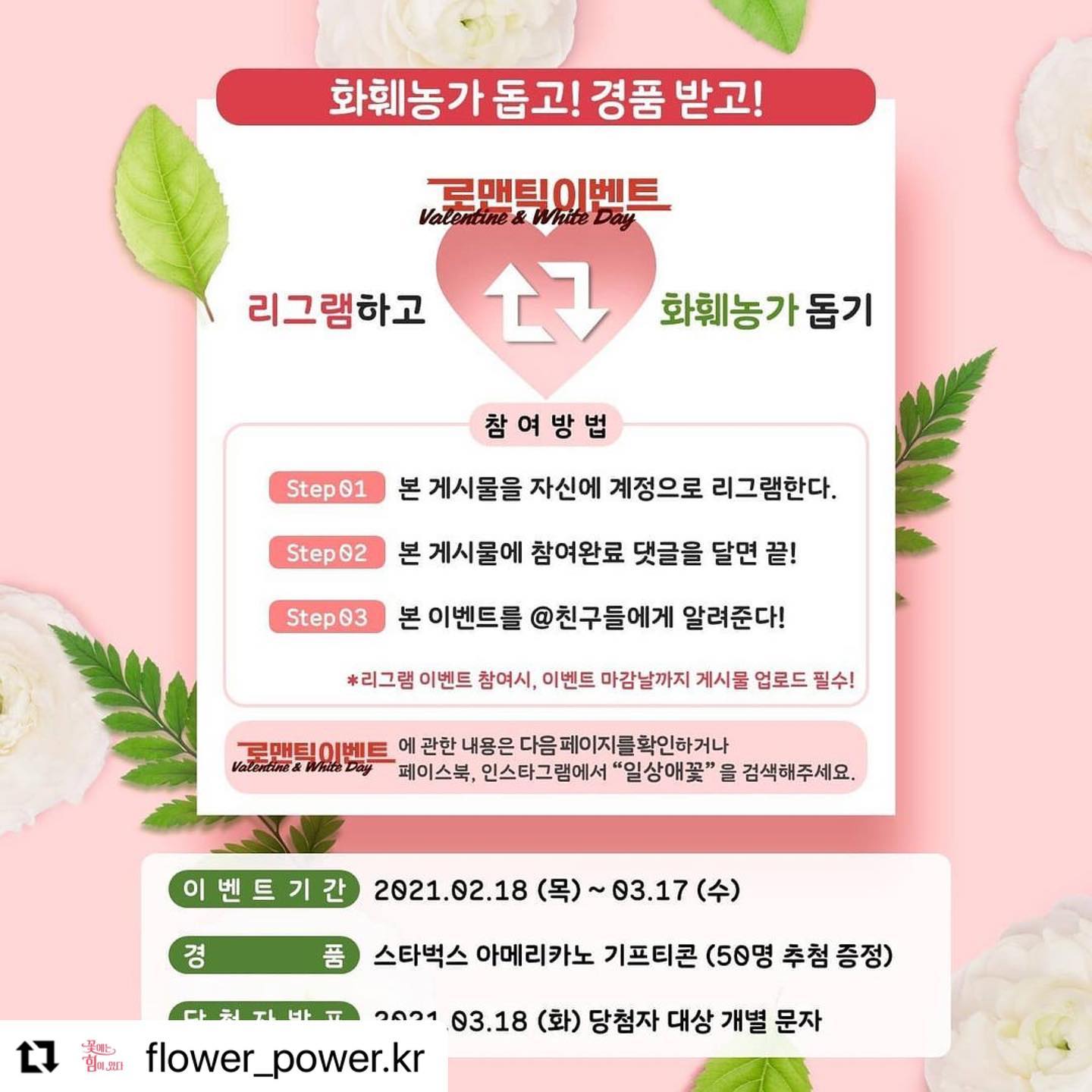 콘텐츠