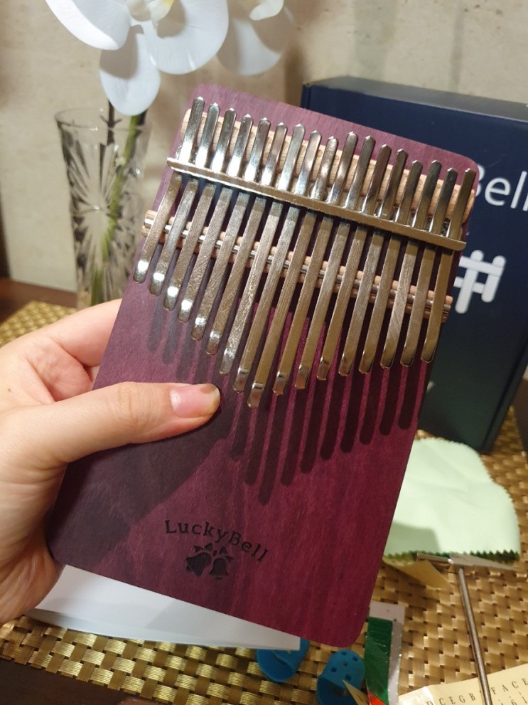 머리가 맑아지는 소리 럭키벨 칼림바 독학으로 퇴근 후 힐링타임