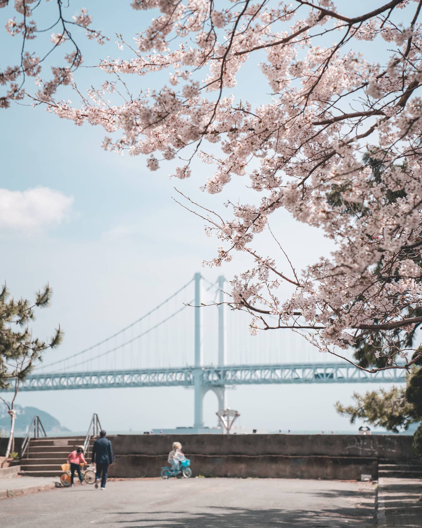 찍사들이란🌸ㅋㅋㅋ