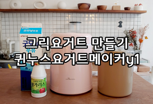 그릭요거트 메이커로 집에서요플레만들기 성공