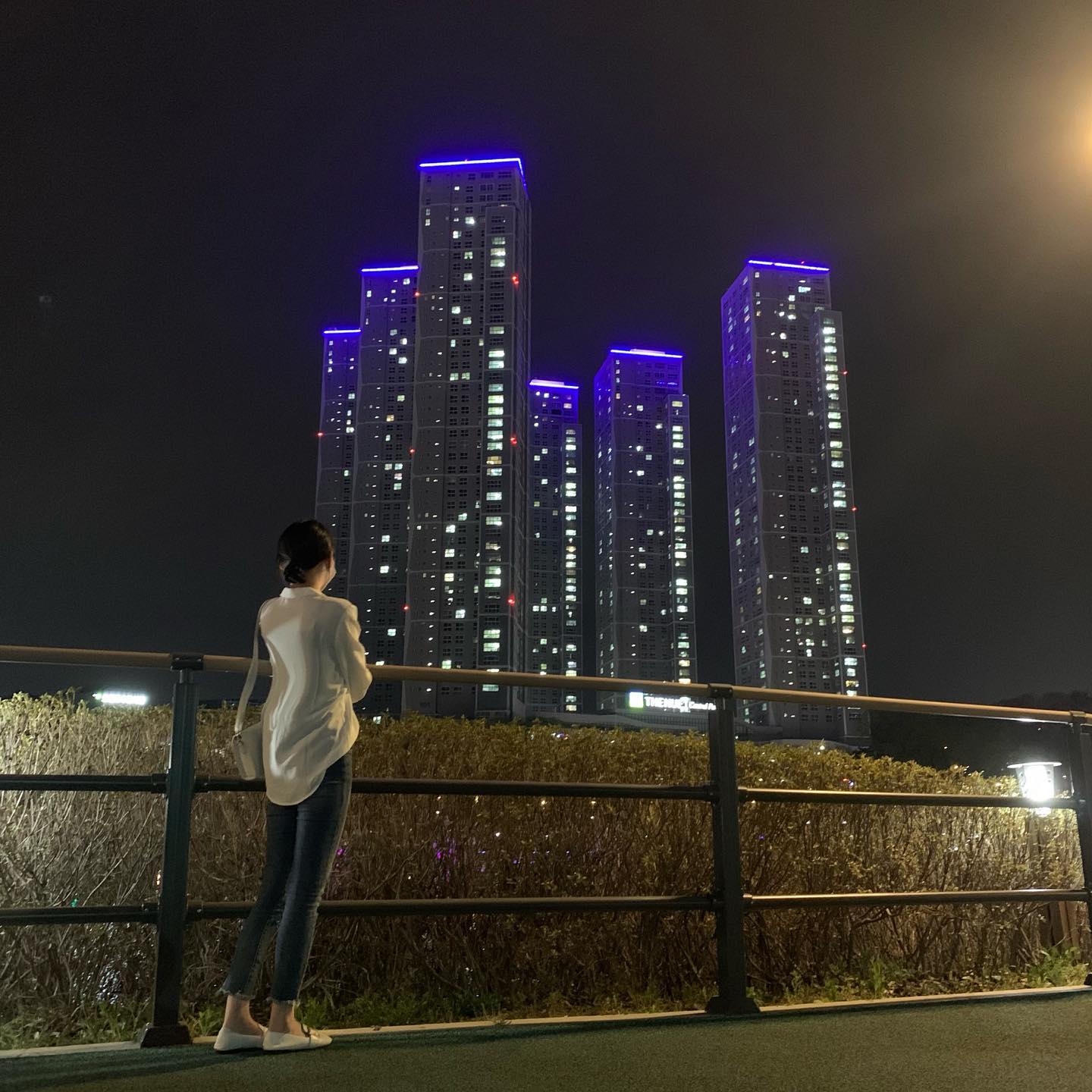 만개한 벚꽃 보러 갔는데 길가 벚꽃이 더 예뻤네 ,, 😂