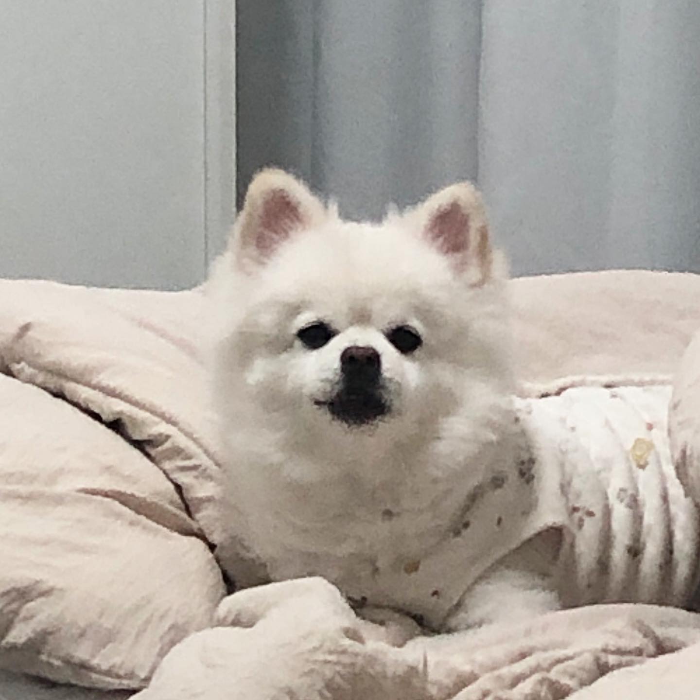 누나 침대는 내 침대 😉
