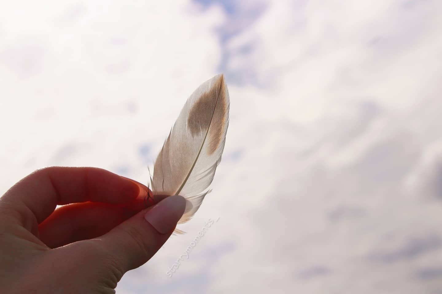 Feel free🕊

Ignore..
#photographer #photography #photooftheday #myphotography #myphoto  #hobbyfotografie #hobbyphotograph #hobbyphotographer #hobbyphotography #naturephotography #naturephotographer #naturelover #nature #lovelynature #feather #free #clouds