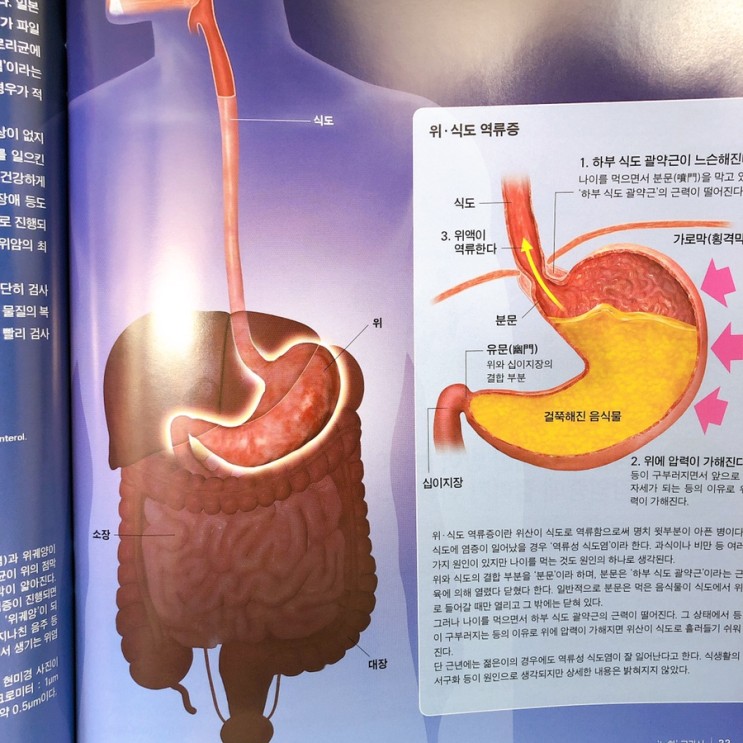 고1추천도서 성인 과학잡지 월간뉴턴 4월호 추천 후기