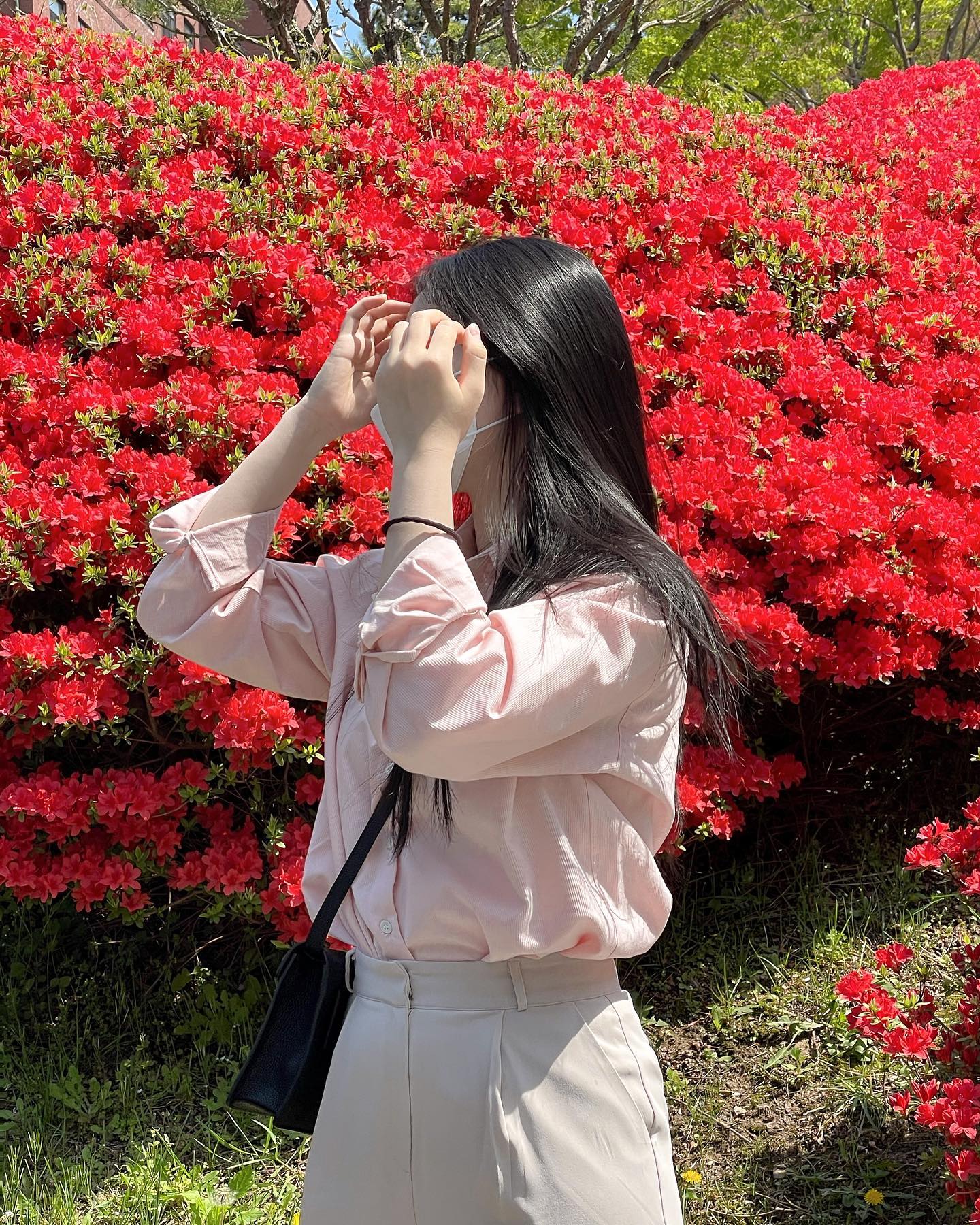 학교가 온통 꽃밭이야 🦋₊˚⊹⋰*