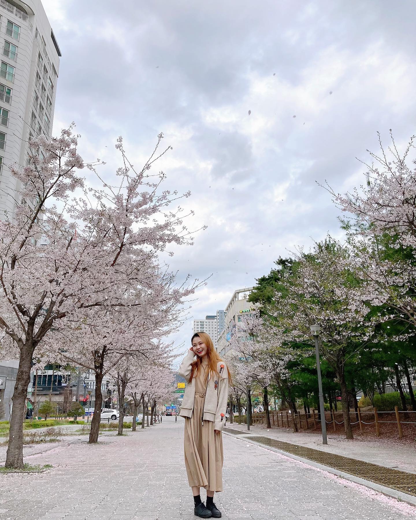 호구팸과 함께한 벚꽃구경🌸
.
.
.
#솔쨩의일상