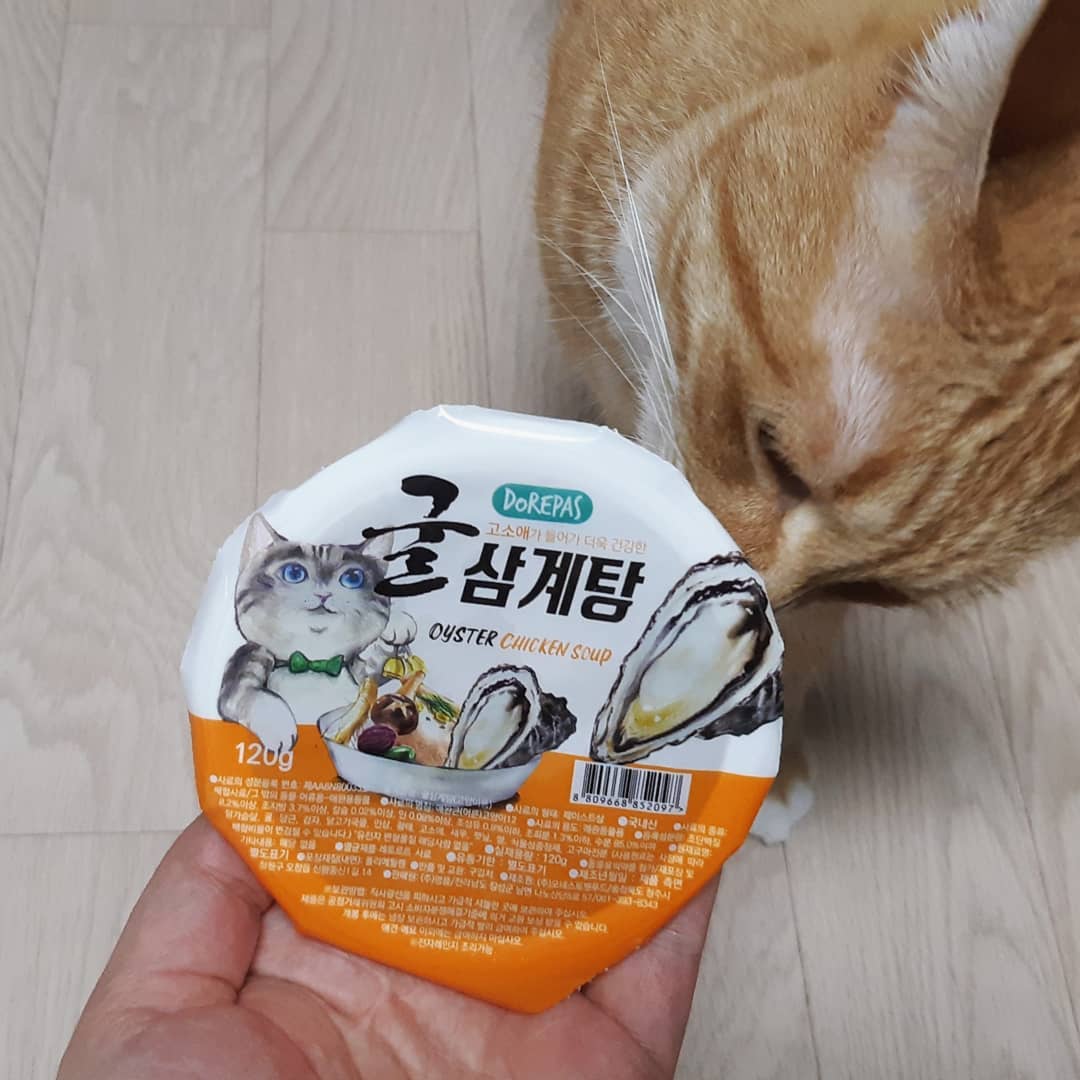 #협찬 DoRepas #도레파스 #고양이굴삼계탕
#냥그램
.
100% 국내산 건강한 재료들이
들어있어서 냥이들이 안심하고
먹을수있는 냥이 보양식♡
.
간편하게 먹일수 있어서 너무
편하고 좋은거같아요
방부제,색소도 No!!
믿고 먹이고 있답니다
특히 둘째가 넘 잘먹네요😼
.
#반려묘보양식 #반려동물간식 #반려묘간식 #고양이간식 #도레파스굴삼계탕 #고양이영양식 #고양이보양식