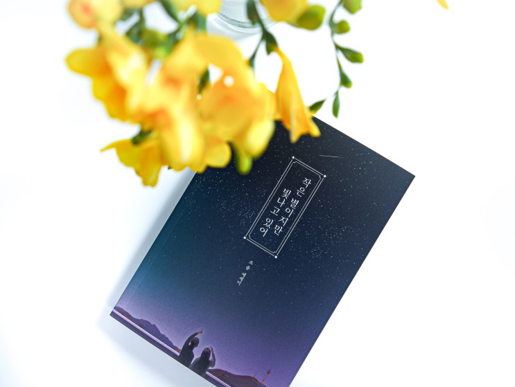 도서리뷰, 작은 별이지만 빛나고 있어. 나를 위해 용기가 필요할 때 읽기 좋은 힐링 책 후기