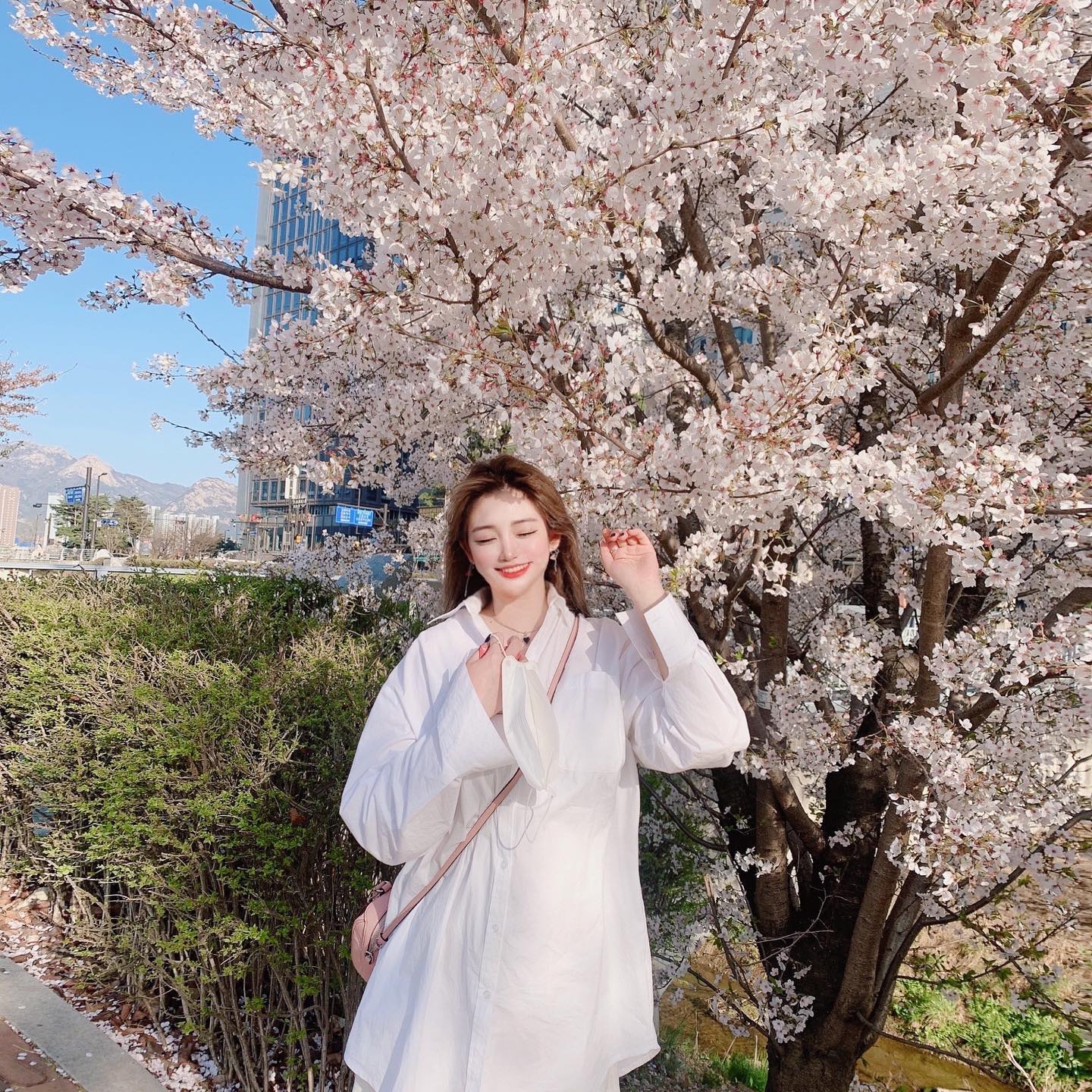 지나가다 벚꽃이 너무 예뻐서🌸