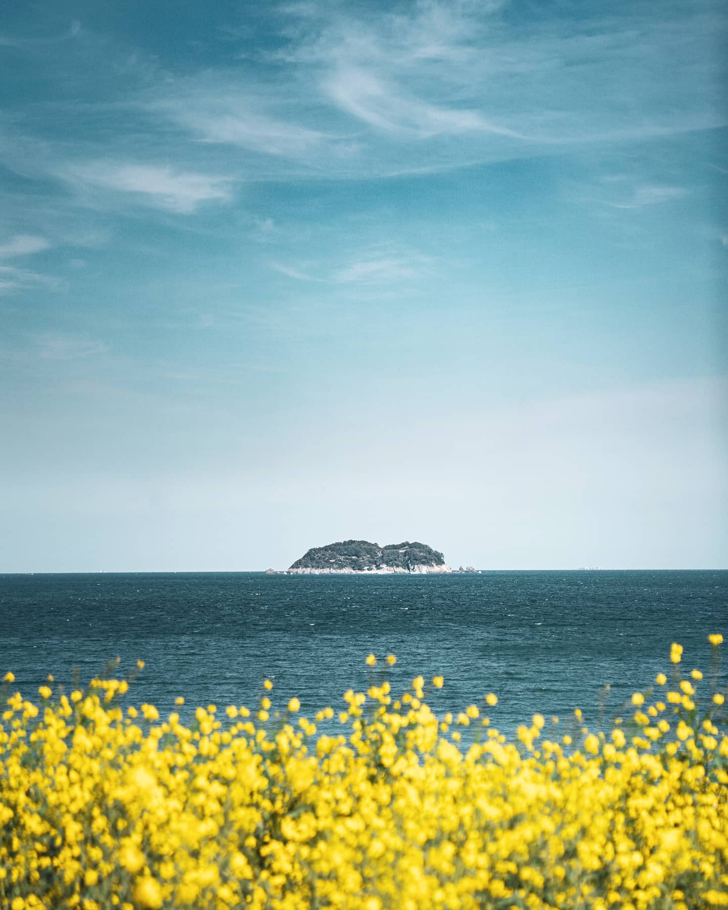 퇴근하고 거제도🚗 ~는 4/10 저저번주☆
작년까지만 해도 나만 아는 스팟이라고 생각했다.. 언제 이렇게 유명해진거야?

📍경남 거제시 동부면 학동리 637-1
📍주차힘듬, 주변에 아무고토없음! 뚜벅이 못감!
