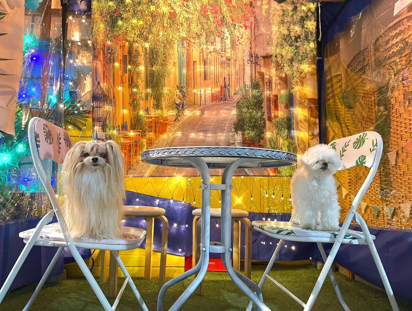 화려한 조명이 ㄴr를 감싸네💖