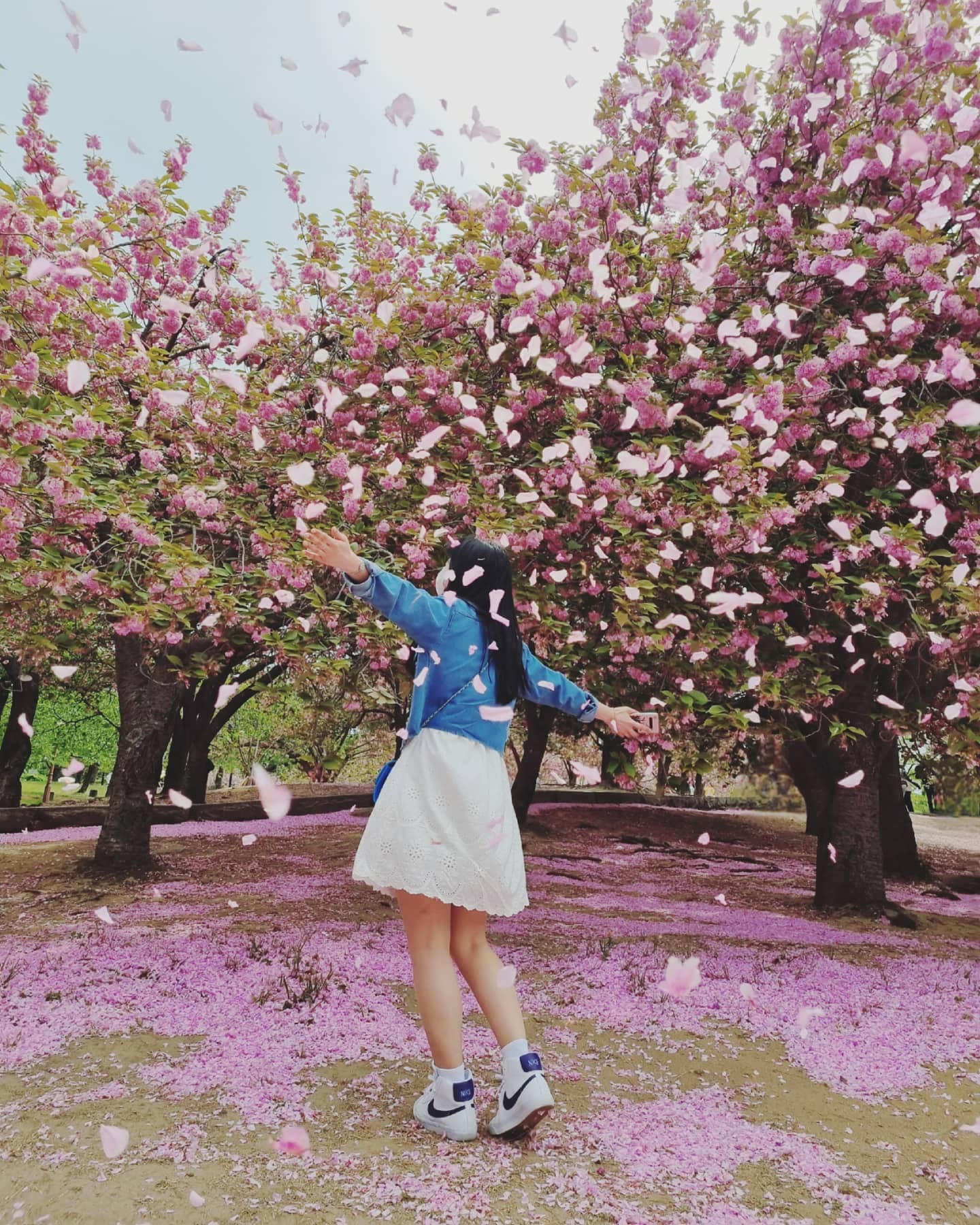벚꽃엔딩 🌸

#경주 #벚꽃 #여행 #일상 #데일리 #휴일 #나들이 #불국사 #겹벚꽃 #예쁘다그램 #주말 #인생샷 #전신샷 #핑크핑크해 #꽃놀이 #셀피 #셀카 #얼스타그램 #불금 #직딩 #직장인 #인친 #팔로우환영 #소통 #좋반 #첫줄 #🌸 #❤