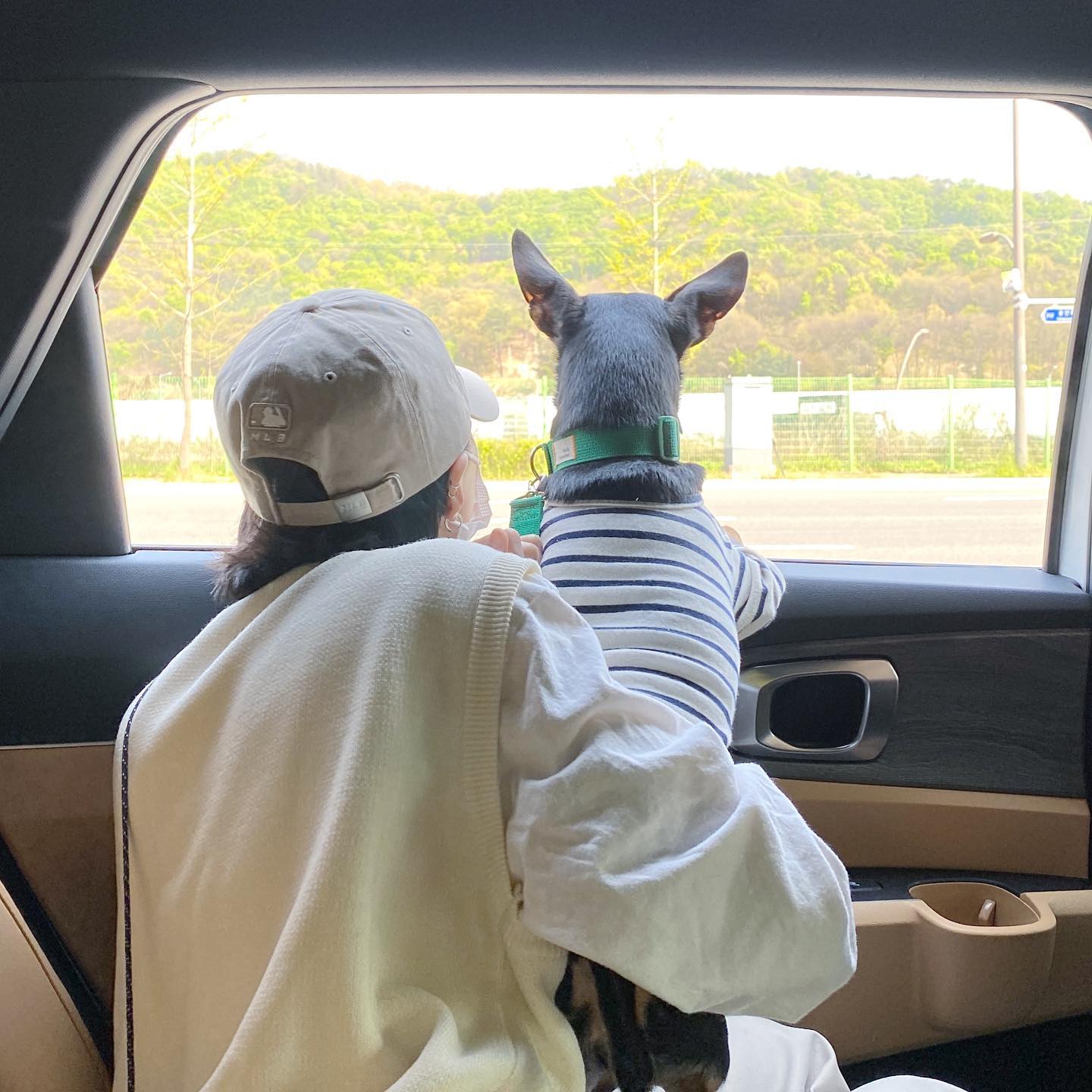 콘텐츠