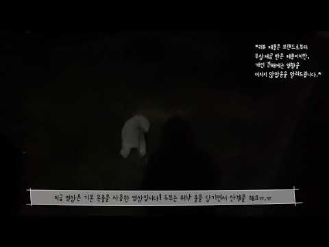 두부도 사용해봄! 멍템 앞섬방지 하네스!