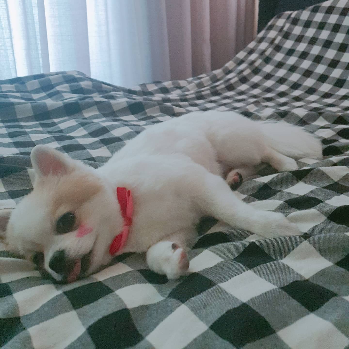 오늘의 울 애기♡