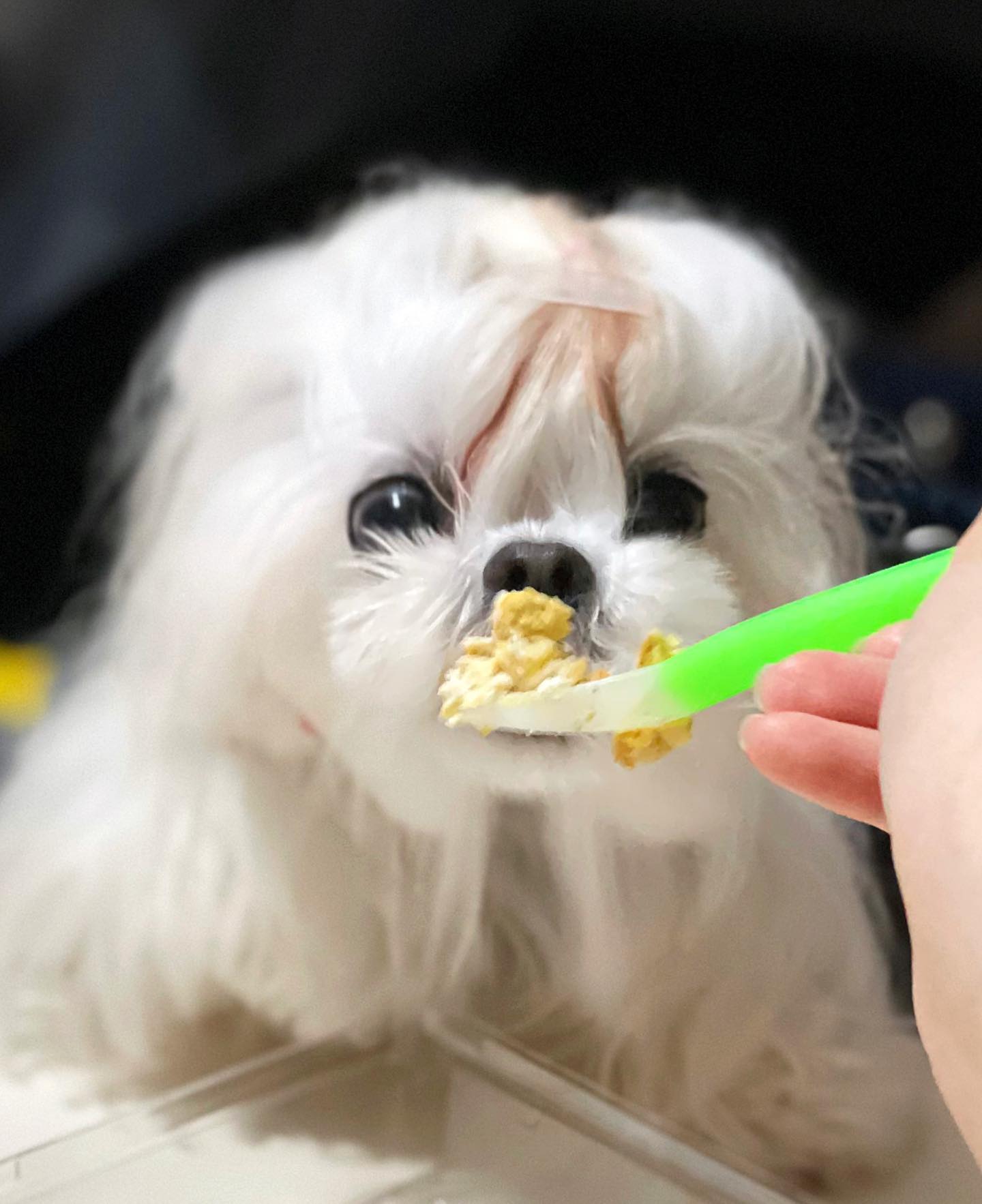 min_hyunnny 언니덕에 간만에 맛난 거 잔뜩♥️
#세상흐뭇