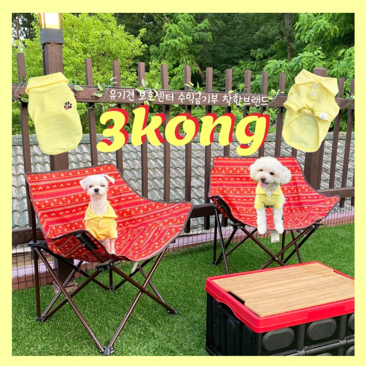 [3kong] 유기견 수익금기부 브랜드 | 퀄리티 좋은 애견의류브랜드 쓰리콩! 하트뿅뿅카라티