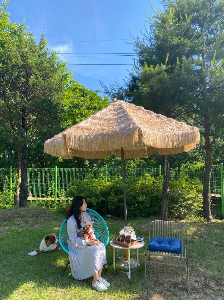 가평 카페, 가든 바베큐 추천 - 애견 동반 가능한 분위기 맛집 '카페 허밍'