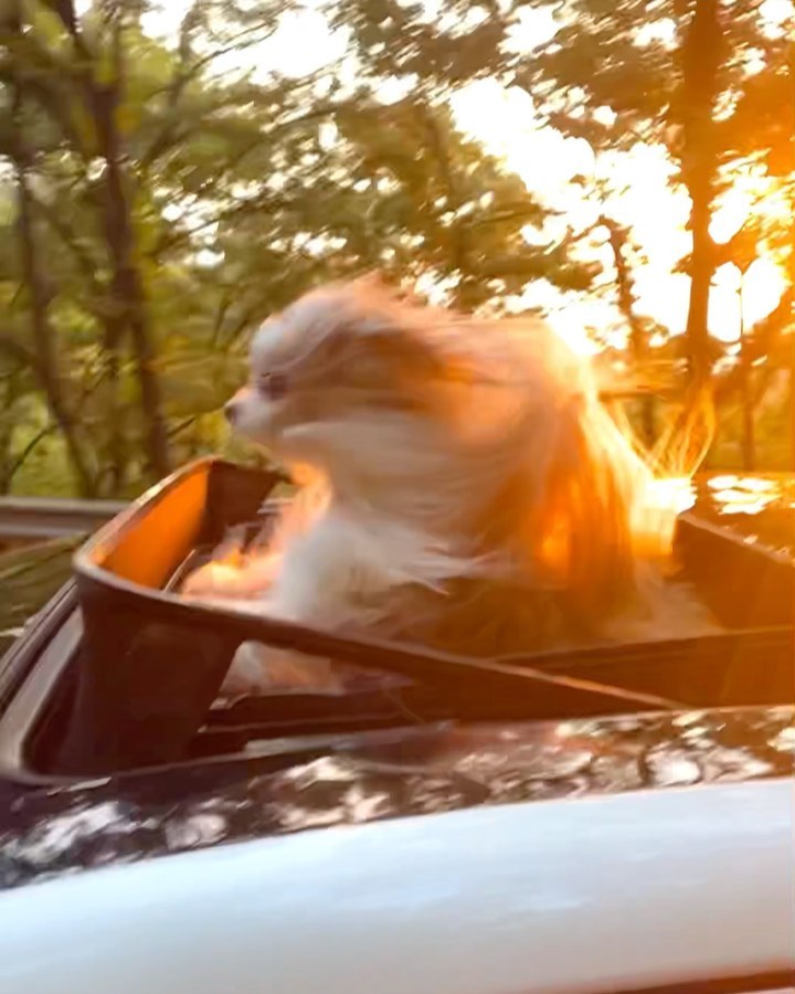 슝💨
