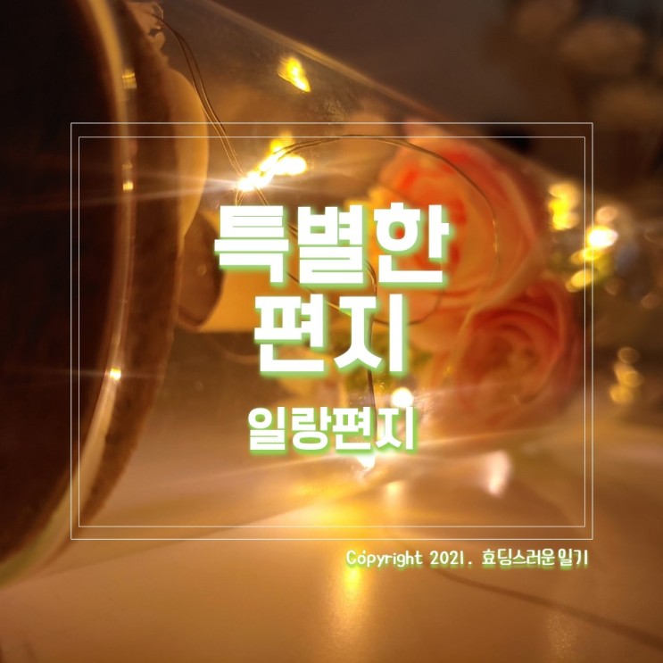 [특별한편지]기념일을 준비한다 편지지세트 유리병LED꽃편지 일랑편지