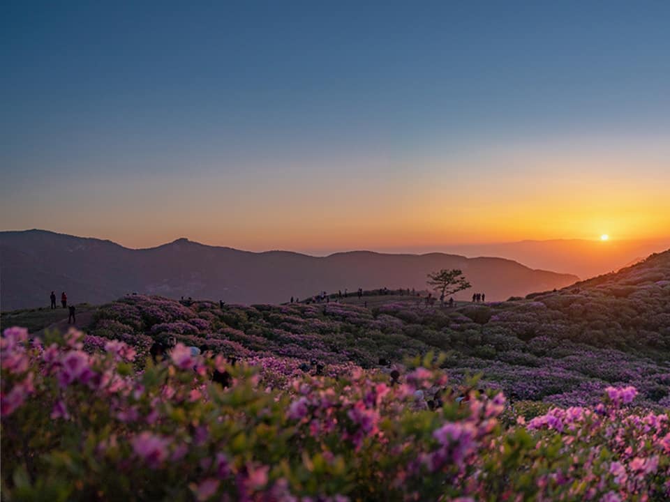 👉넘겨보는 파노라마
ㆍ
예쁜 은하수와 일출을 볼 수 있는 황매산⛰
넘겨보면 파노라마도 볼 수 있지만 찍사들의 현실샷도 볼 수 있음ㅋㅋㅋ
ㆍ
ㆍSony a7 Riii | SEL2470GM 
ㆍ
ㆍ경남 합천 황매산(05/08)