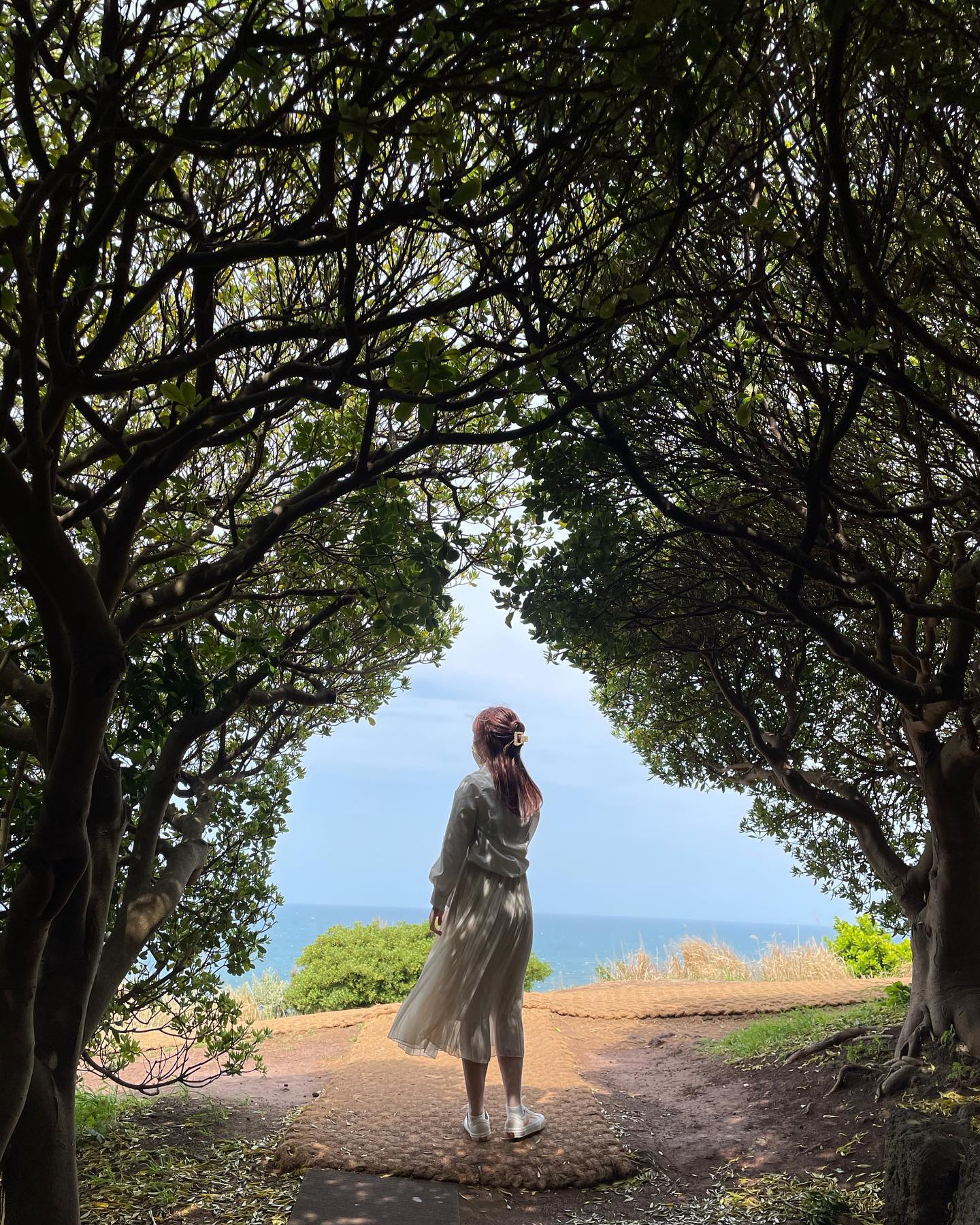 .

제주도
제주 또