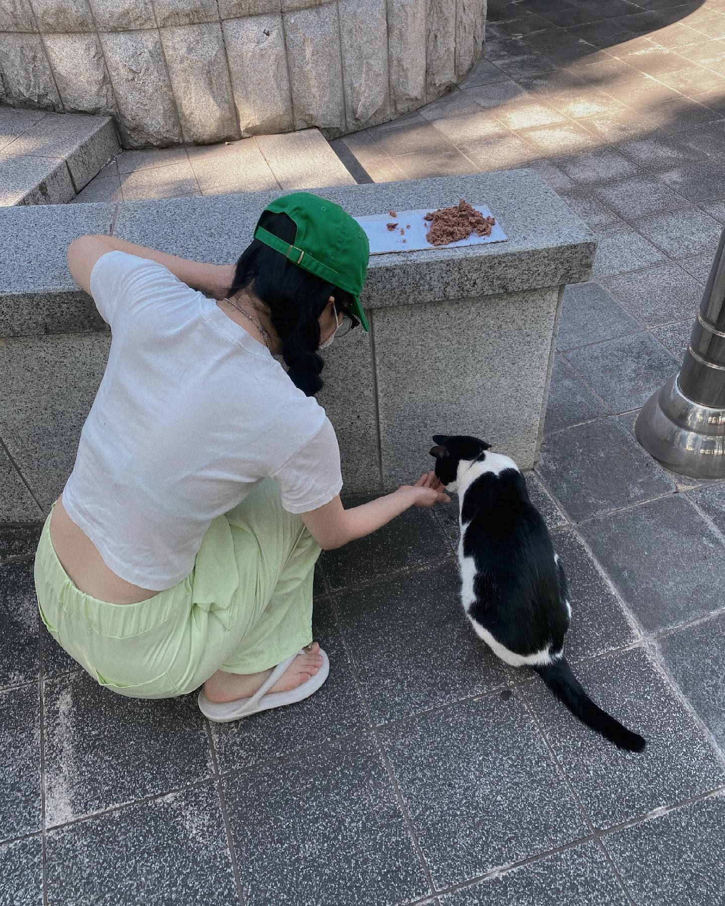 집앞냥이랑 친구맺기🤭#데일리룩#오오티디#아웃핏#크롭티코디#트렌드컬러팬츠
