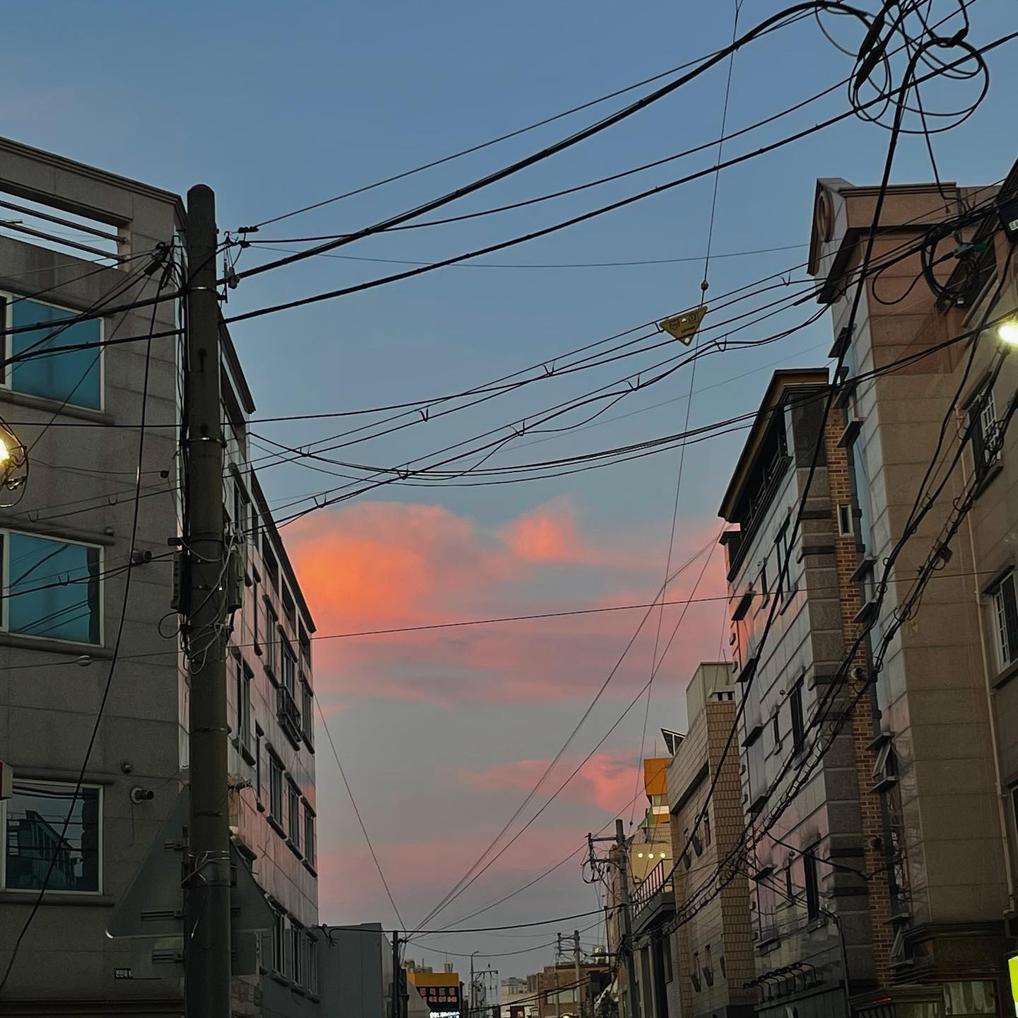 다들 하늘 찍는 사람 처음 보는가
다들 나를 바라보는 눈빛이 ..🌝
.
.
.
.
.
.
.
.
.
.
.
.
#구름 #하늘 #구름하늘 #핑크구름 #도시구름 #폰카메라 
#전봇대 #전봇대선 #은근갬성 #하늘뿌셔 #하늘작가 #하늘사진가가되겠어 #하늘보는세상 #아아아아아아아아아아아아아아아아아아아아아아아아아아아아아아아아아아아아아아아아아아아아아아아아아아아아아아아아아아아아아아아아아아아아아아아