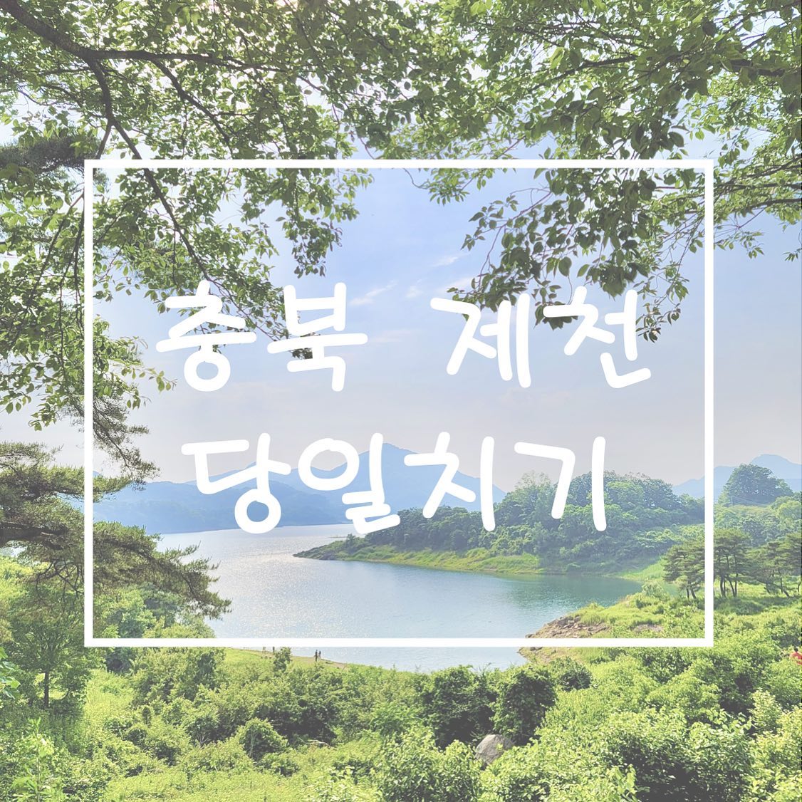 [충북 제천-카페 글루글루/청풍황금송어/의림지 용추폭포]

케이블카, 유적지 등 즐길거리가 많은 곳이었지만
오전 일정 후 오후에 다녀온 일정이라 선택과 집중이 필요했다😥

그래도 서울/경기도 근교 당일치기로 충분히 다녀올 만한 여행지☝🏻

📍카페 글루글루
청풍호 뷰 맛집 카페☕️
카페 맞은 편으로 내려가야 인생샷 포토존이 나온다!
발 닿는 곳, 눈 가는 곳 모두 포토존이 되는 곳📷
사진을 실컷 찍은 뒤 카페에서 커피 한 잔 마시며 쉬었다 가기 좋은 곳👍🏻

📍청풍황금송어
송어회 주문 시 매운탕이 서비스로 나오니 따로 주문할 필요가 없다🙅🏻‍♀️
맛탕, 샐러드, 누룽지튀김, 게튀김 등 밑반찬이 너무 많아 비좁을 정도😃
채소, 마늘, 참기름, 초장 등과 무쳐서 먹거나
혹은 그냥 초장+콩가루만 찍어서 먹어도 맛있는 송어회🐟

📍의림지 용추폭포
일정이 촉박해서 마지막으로 어딜 갈까 고민하다가
그림같은 용추폭폭 사진에 반해 결정👏🏻
실제로 보니 더 그림같이 멋있었다🌊
의림지 산책로(데크)도 잘 되어있고 조경도 멋져서
10~20분 살살 걸으며 구경하기에도 딱 좋다❣️

#국내여행 #데이트 #데이트코스 #서울근교 #경기도근교여행 #충북여행 #제천여행 #청풍호 #제천카페 #글루글루 #제천맛집 #청풍황금송어 #의림지 #용추폭포 #야경 #야경명소
