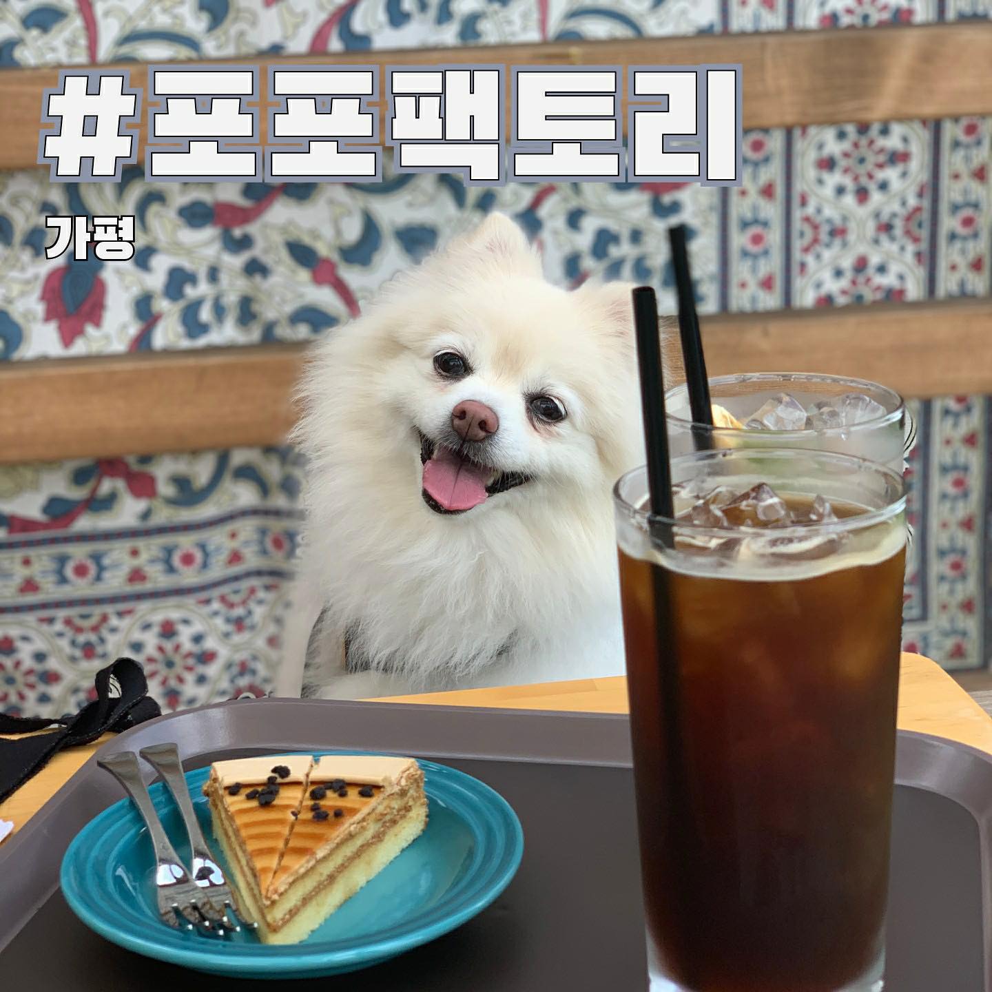 오늘 소개해드릴 곳은 뷰가 좋은 #가평애견동반카페 #포포팩토리 입니다! 
⠀
▪signature menu
✔카페포포라떼 (5,000)
✔페페로니 썬크러스트 (13,500)
✔팬케이크 

식하! 오늘의 핫플레이스는 바로 가평에 위치한 애견동반맛집 포포팩토리 입니다! 

포포팩토리는 원목가구쇼룸겸 카페로, 카페를 들어서면 각종 원목가구와 식물들이 있어요 카페 1층에서는 원목가구들, 원목조리기구들을 구매하실 수 있어요😊❤️

포포팩토리는 멋진 뷰를 갖고 있어 루프탑에 앉아 멋진 리버뷰를 보며 한가로운 시간을 즐길 수 있습니다 또, #애견동반카페 이기 때문에 멋진뷰를 반려견과 함께 즐길 수 있다는 것이 큰 장점입니다🐶🌿

제가 방문했을 때는 재료소진으로 품절되어 먹어보진못했지만, 후기를 보니 포포팩토리의 팬케이크가 맛있다는 리뷰들이 많더라구요 참고하시면 좋을 듯 합니다 

지금까지 식탐이의 #가평애견동반맛집 포포팩토리 리뷰였습니다 오늘도 좋은 하루되시구요! 식탐이는 또 맛있는 컨텐츠와 함께 돌아올게요 또 만나요 👋💕
⠀
#식탐이 #먹스타그램 #맛스타 #맛스타그램 #식탐이_가평 #식탐이_경기 #먹팔해요 #카페스타그램 #맞팔해요 #먹팔 #경기애견동반 #경기애견동반맛집 #서울근교애견동반 #가평애견동반식당 #가평애견동반카페 #경기애견동반카페