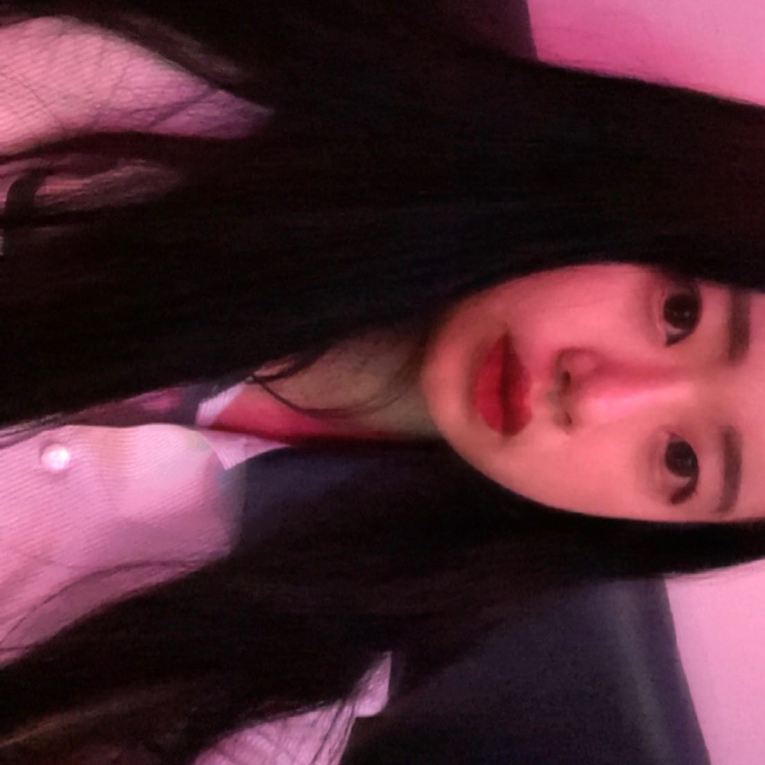 🦩