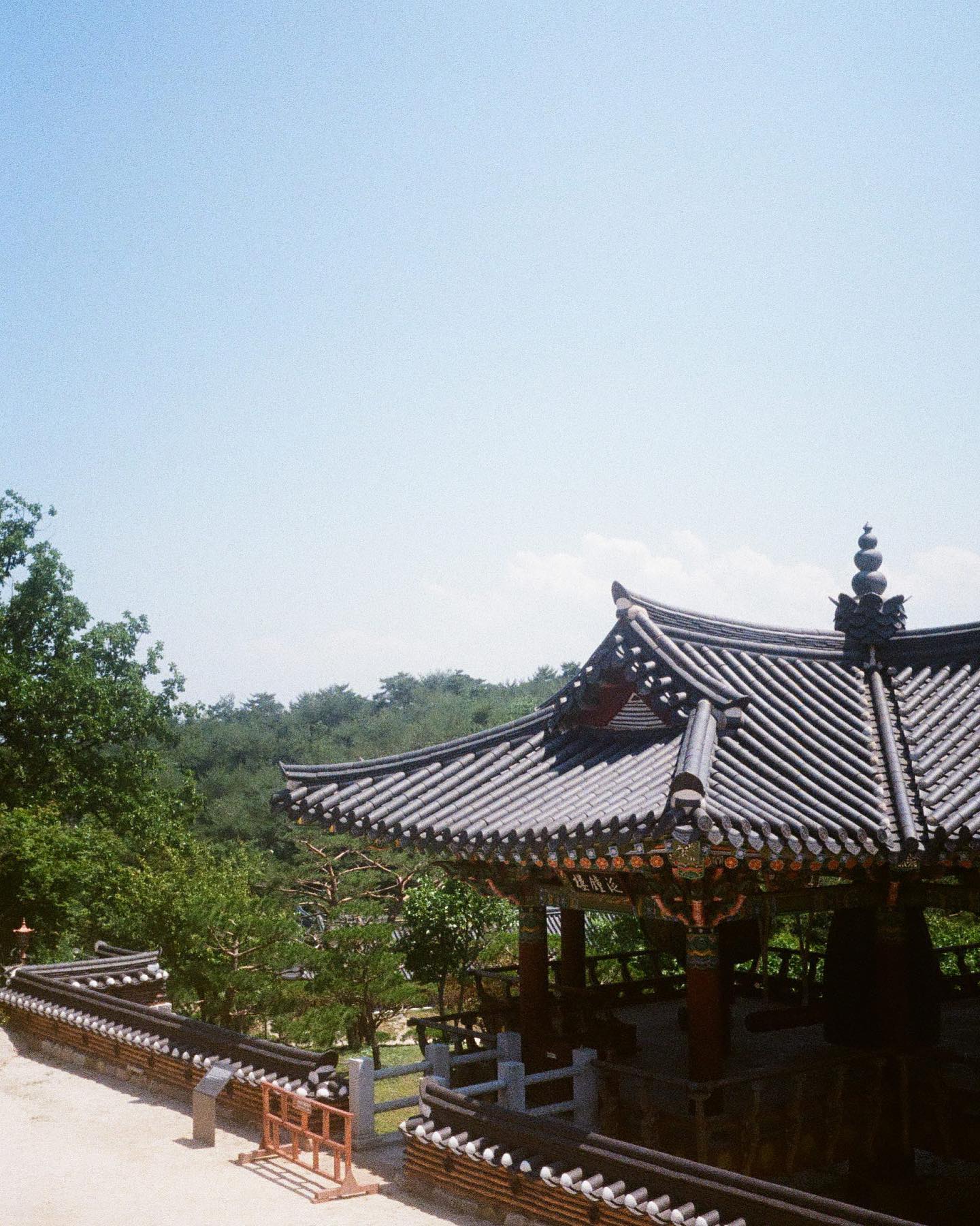 얼추 연결되어 보이는 두 사진입니다. 날씨도 좋았던 터라 사진이 더욱 더 말끔하게 나온 것 같습니다😊 Olympus pen ee3- Kodak Ultramax 400