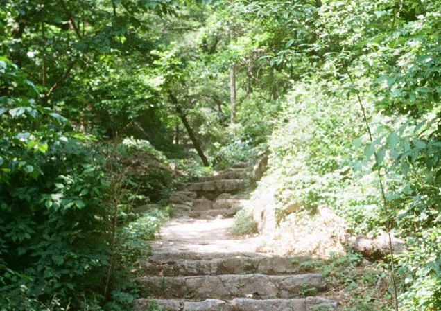 안빈낙도. Olympus Pen ee3-Kodak Colorplus 200