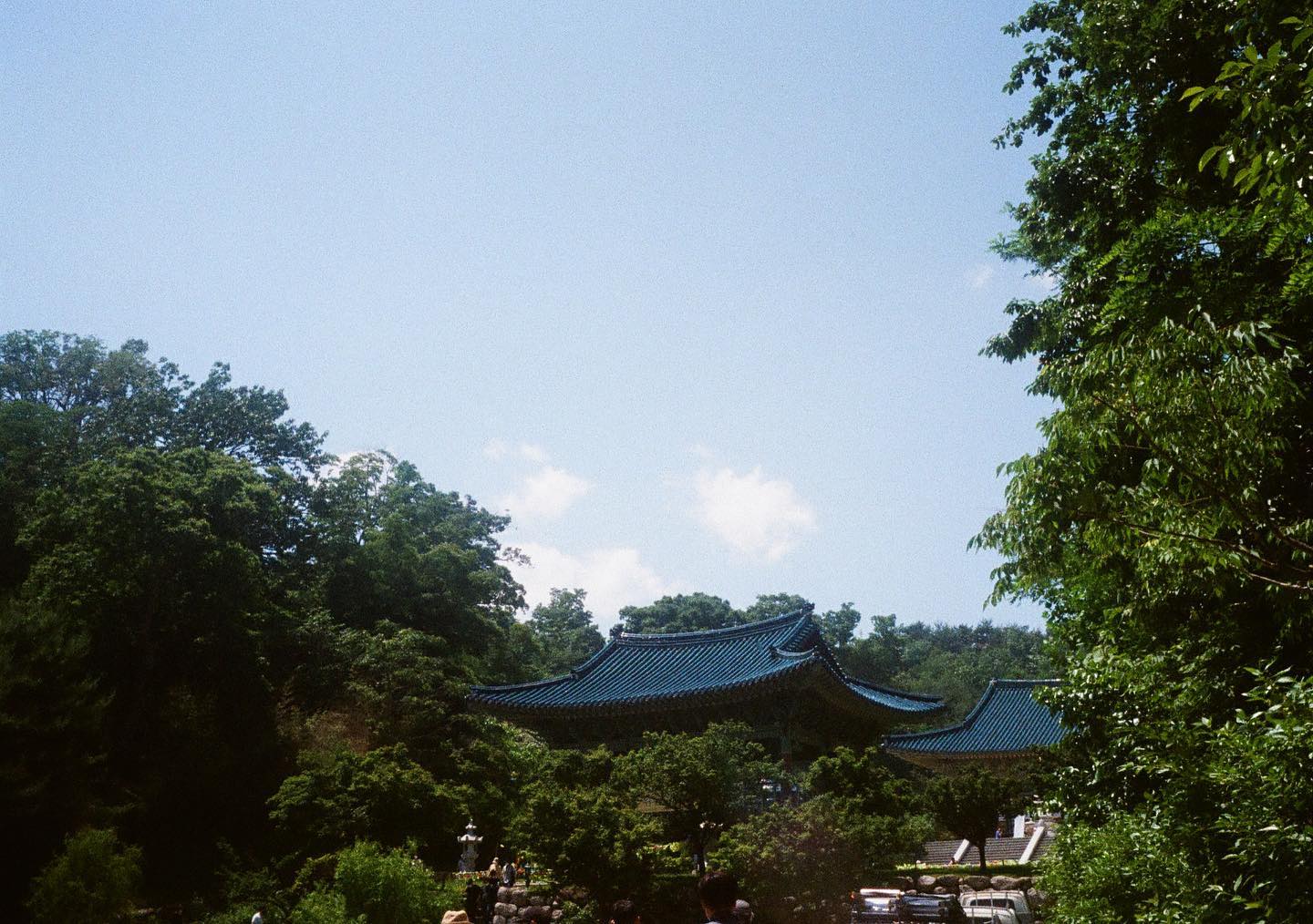 날씨가 좋은 날에 해수관음상 올라가는 길에 찍어보았습니다. Olympus Pen ee3-Kodak Ultramax 400