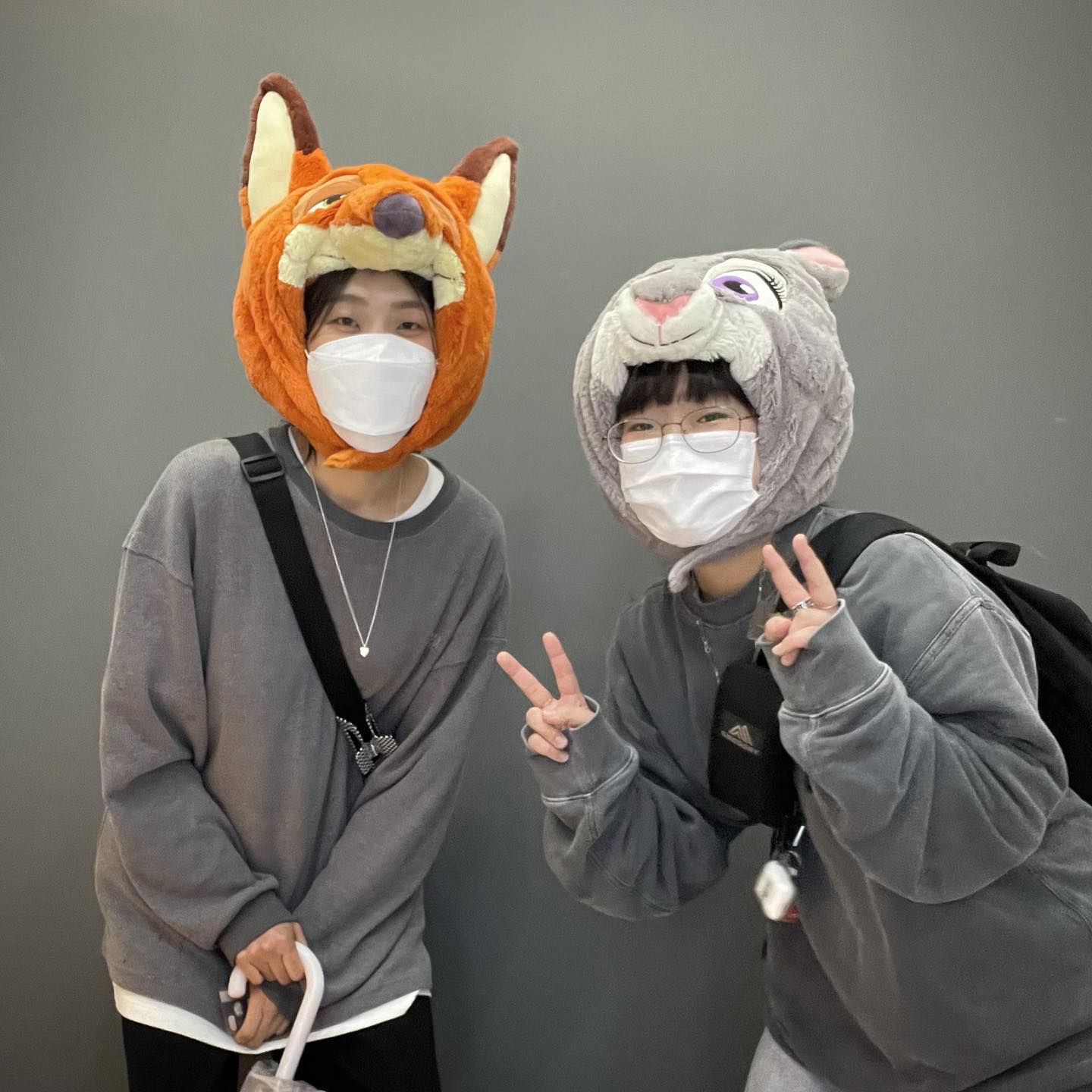 꼬부랑여우🦊🐰