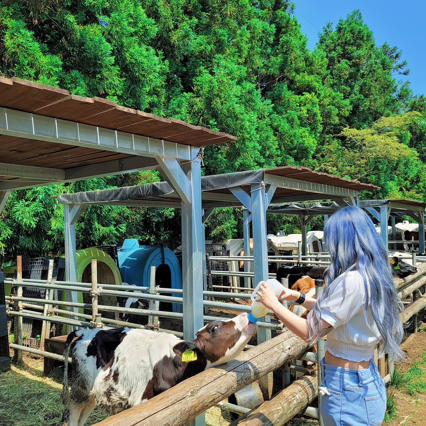[ JEJU #4 ]

2021.06.07

#아침미소목장#목장#1일차#s_family#제주#jeju