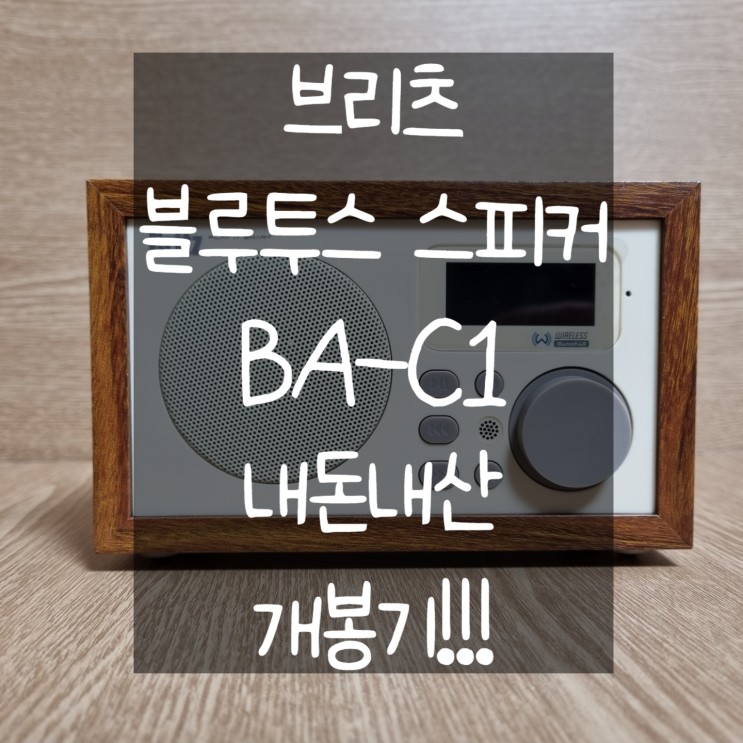 브리츠 블루투스 스피커!브리츠 BA-C1 모델 내돈내산 개봉기!!