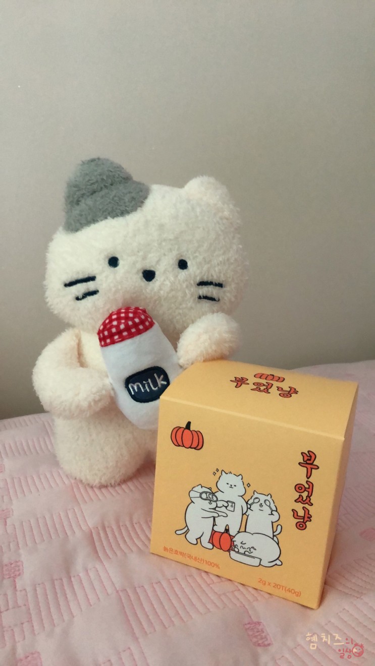 얼굴 붓기 빼주는 차, 부었냥 호박티 달콤고소하니 맛있다!