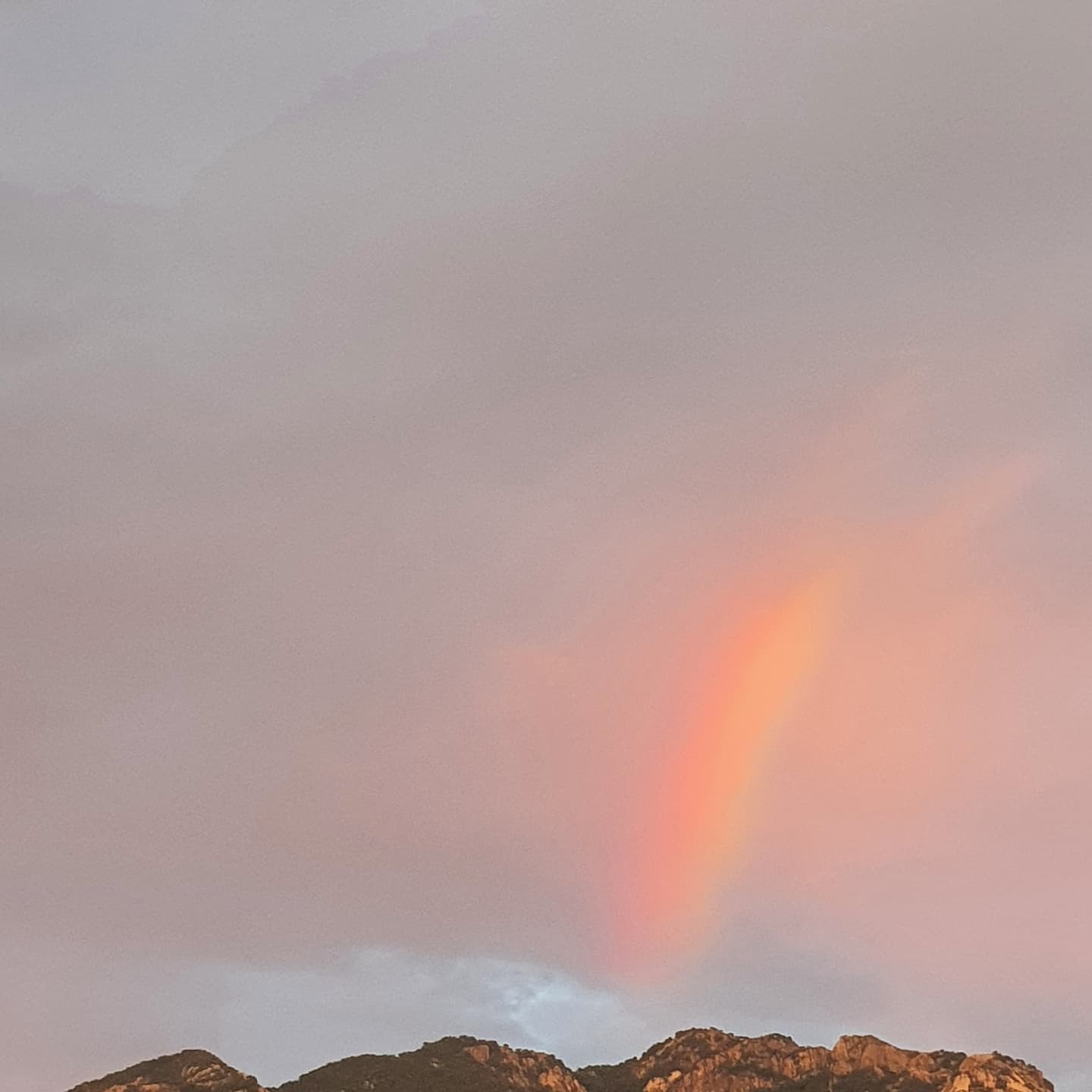 🌈 순간포착! 🌈
Sunny after rain