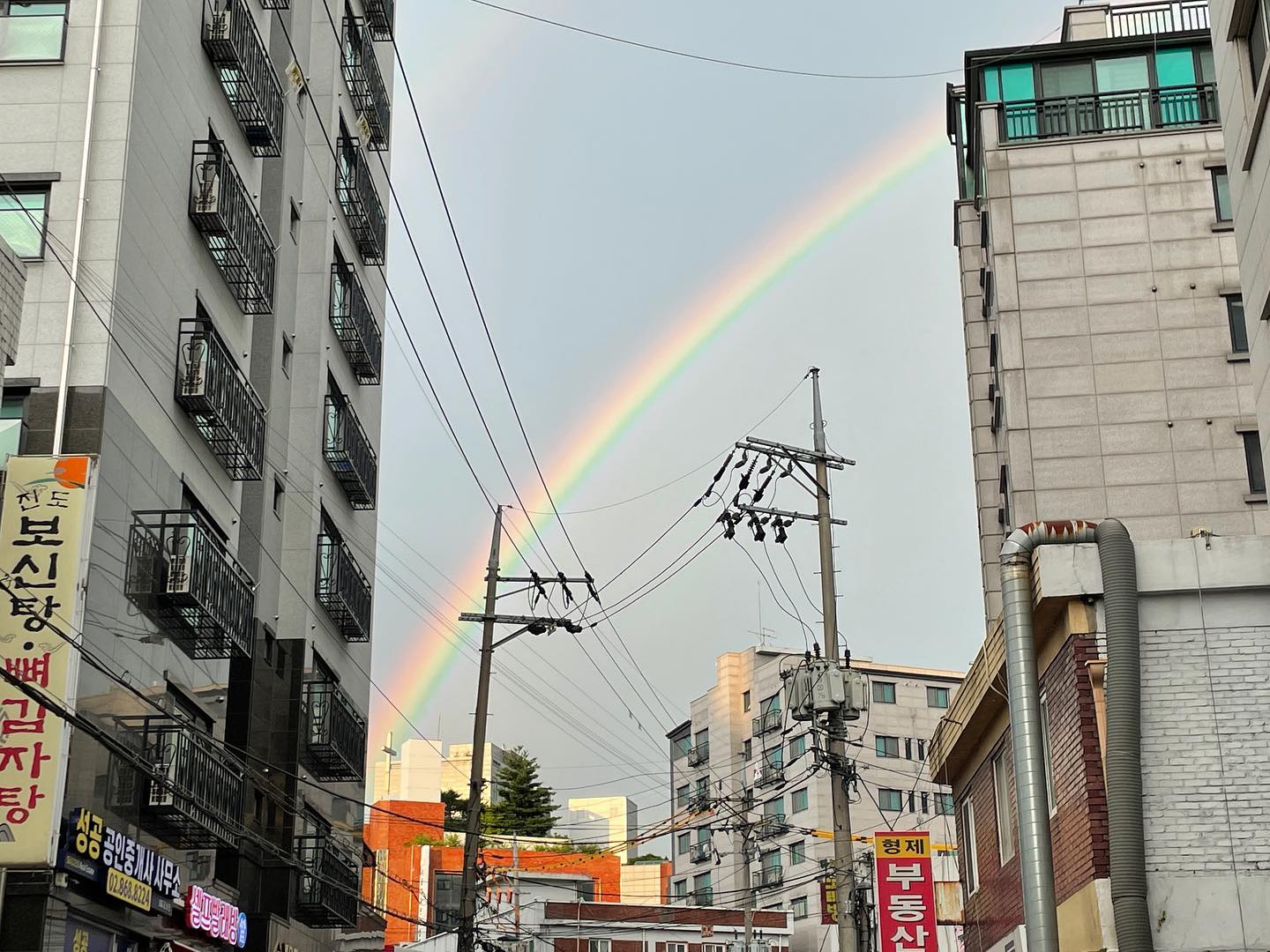 무지개 너무 선명하고 이쁘닷🌈🌈