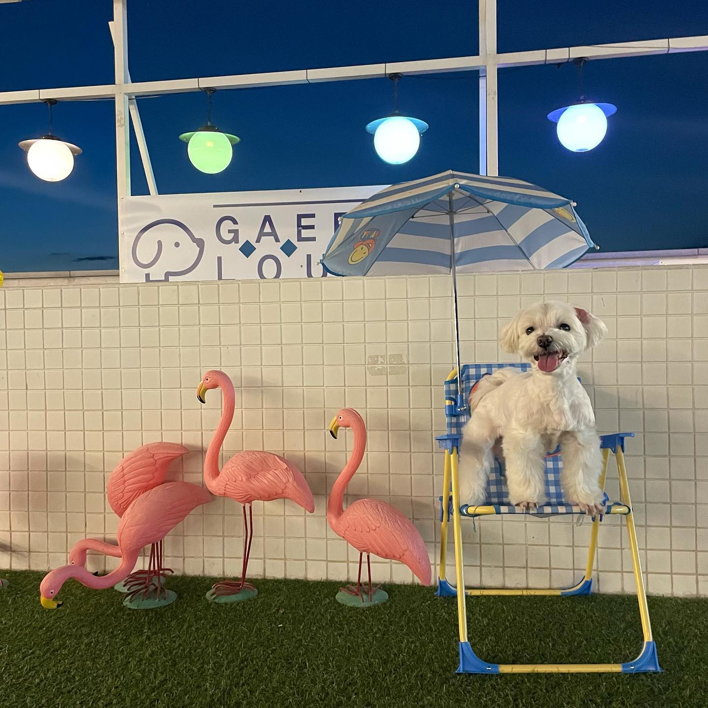 휴무 보내기 =͟͟͞͞♡