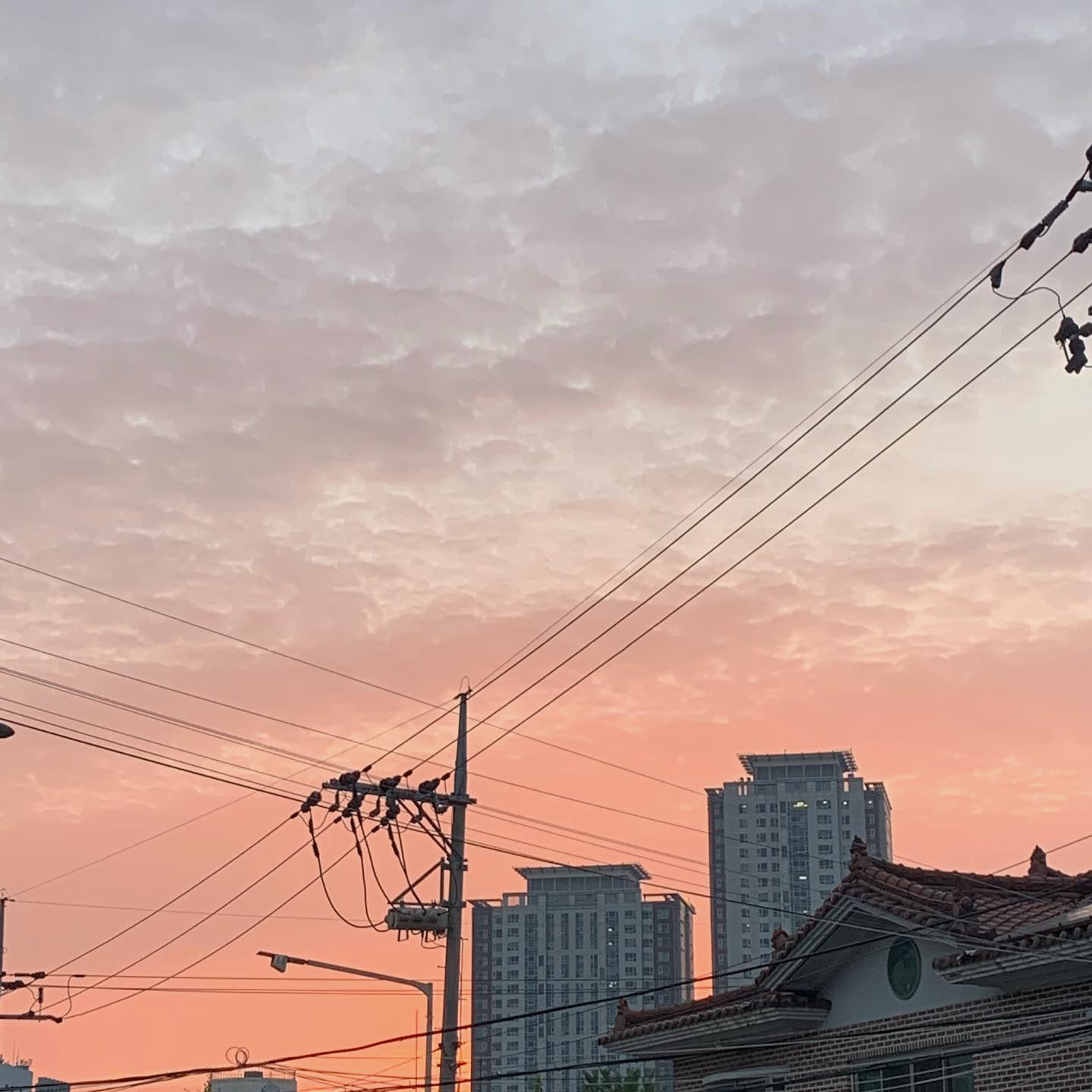 콘텐츠