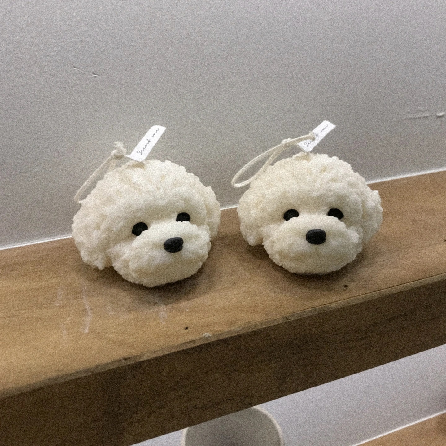 🐑비숑 두마리🐑