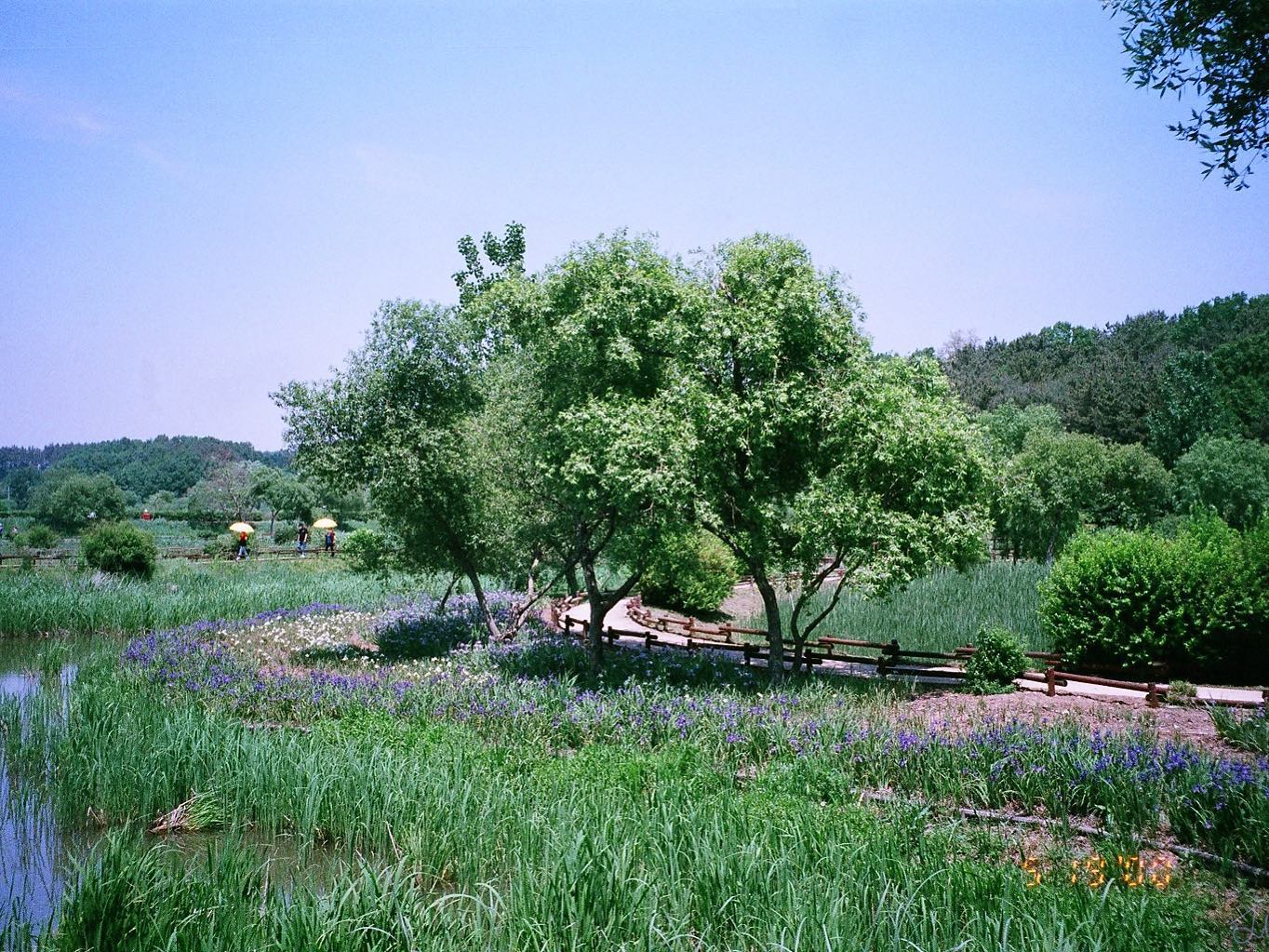 그대 춤을 추는 나무 같아요 
- 카더가든_나무 가사 -