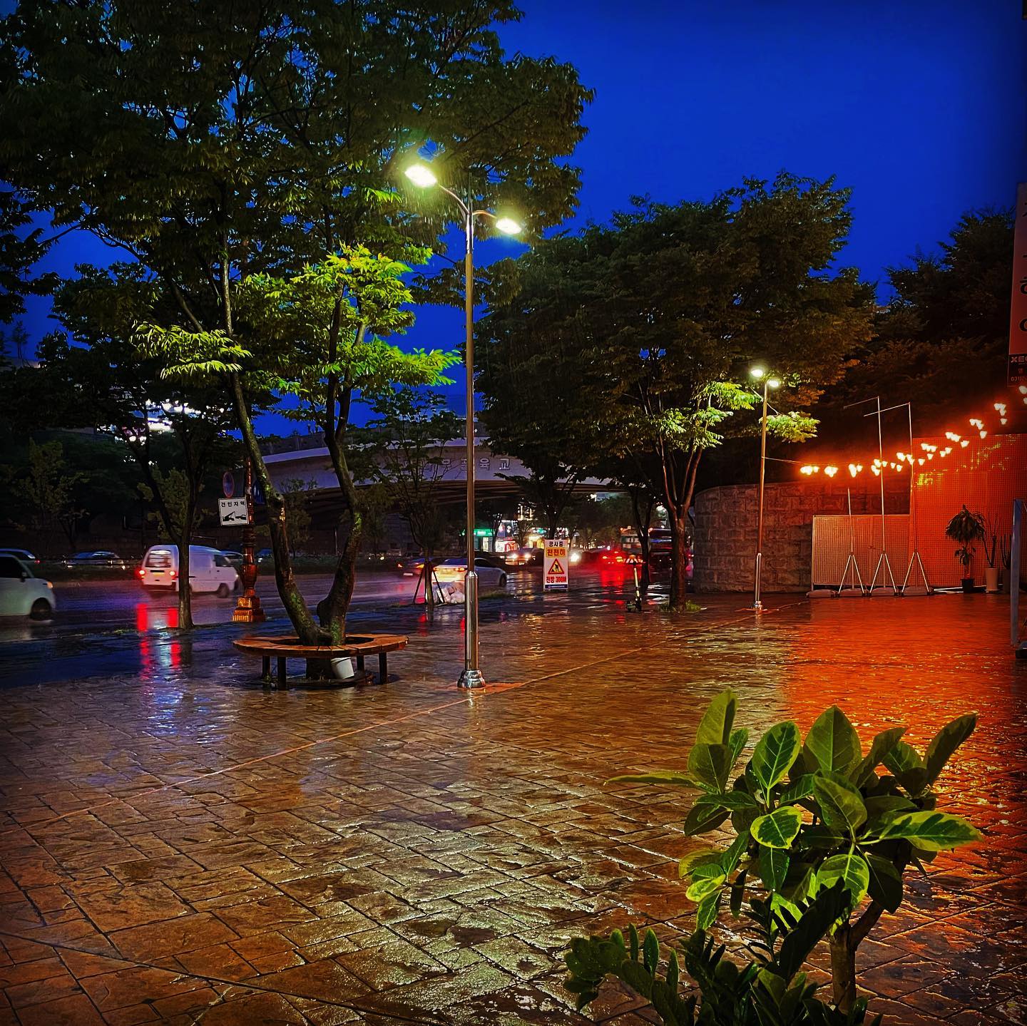 🌧비오는 날
가로등과 나무🌳

#비 #가로등 #빛 #거리 #길 #나무#밤 #하늘 #사진 #사진가 #사진스타그램 #photo #photography #pic #pictureoftheday #photooftheday #photographer #snapshot #rainyday #green #tree