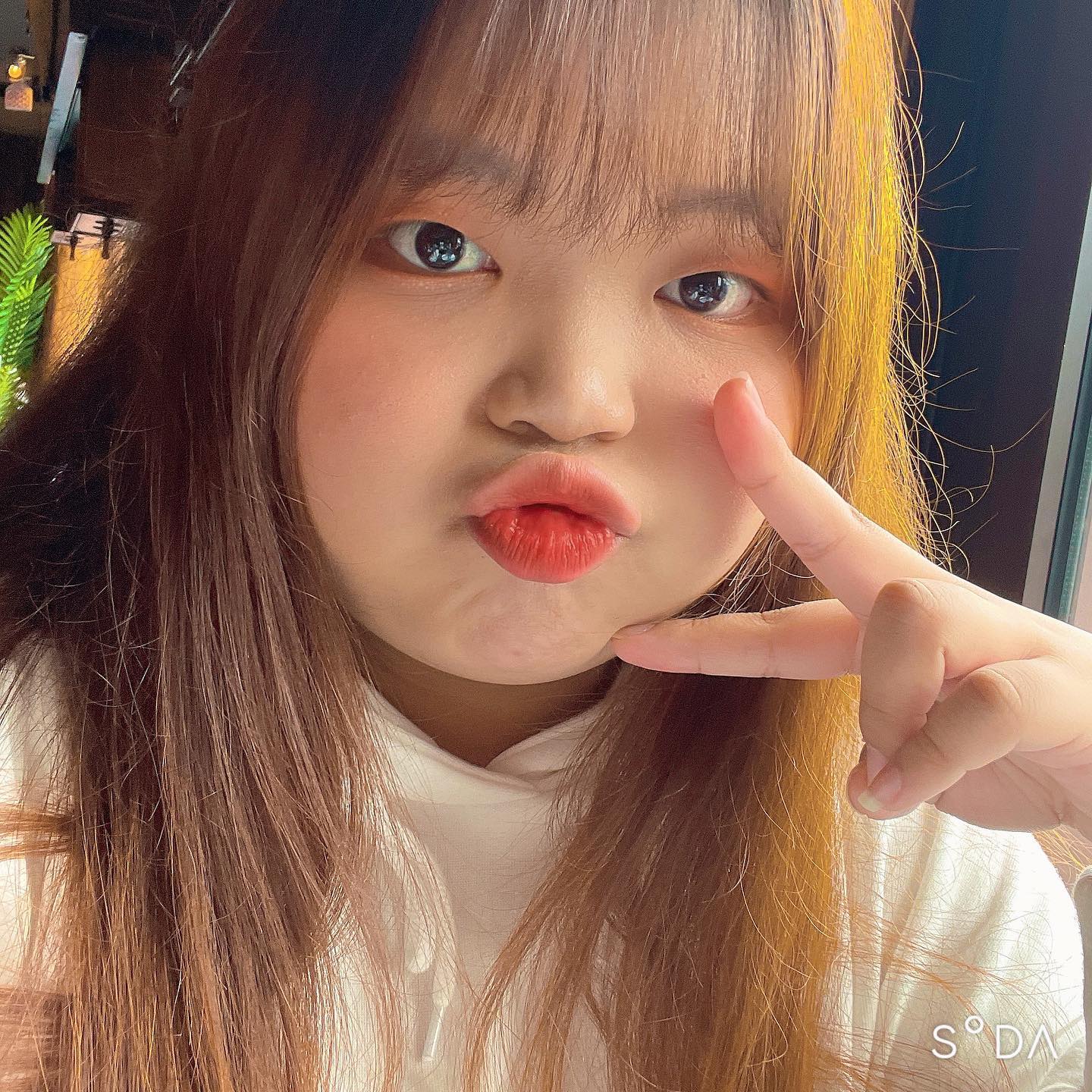 콘텐츠