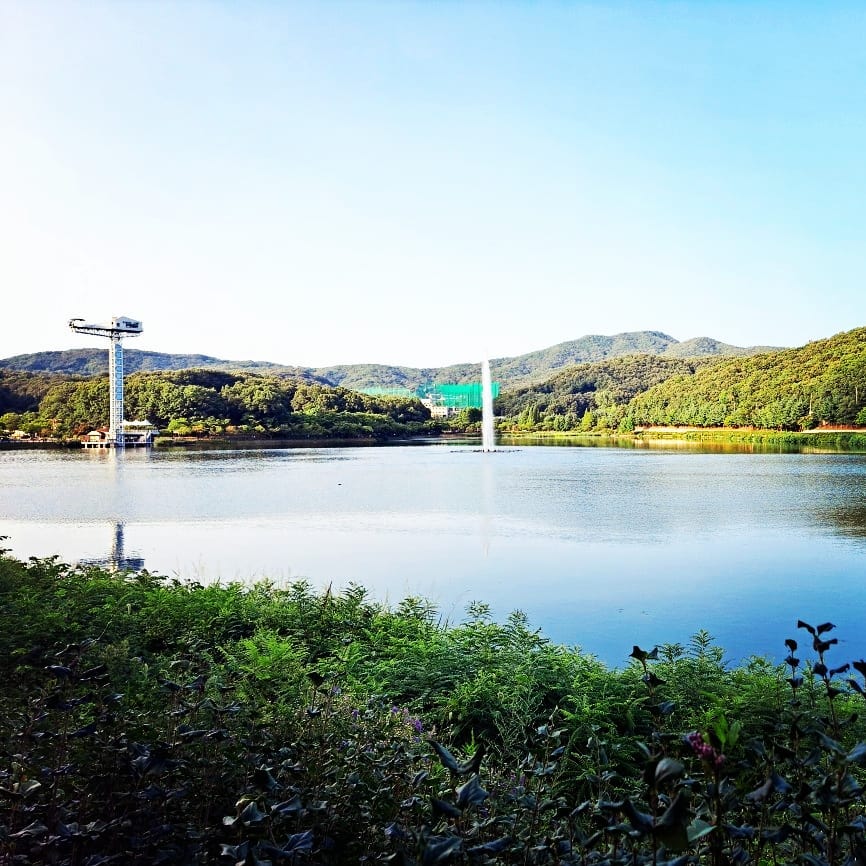 남편이랑 이사와서 종종 답답하면 찾게되는 성남의 율동공원🌳

공원 내에 매점, 카페, 번지점프대, 책 테마파크, 주차장, 놀이터 등 다양한 편의시설이 잘 갖춰져 있어 가족과 연인, 친구와 함께 피크닉 즐기기 좋은 공원이다

날이 우중충하니까 뭔가 마음이 어두워지는데 날씨가 다시 맑아져서 공원에서 맑은 공기와 바람을 쐬고 싶다🙂

#율동공원 #공원 #드라이브 #성남드라이브 #번지점프대 #데이트 #성남데이트 #맞팔선팔환영