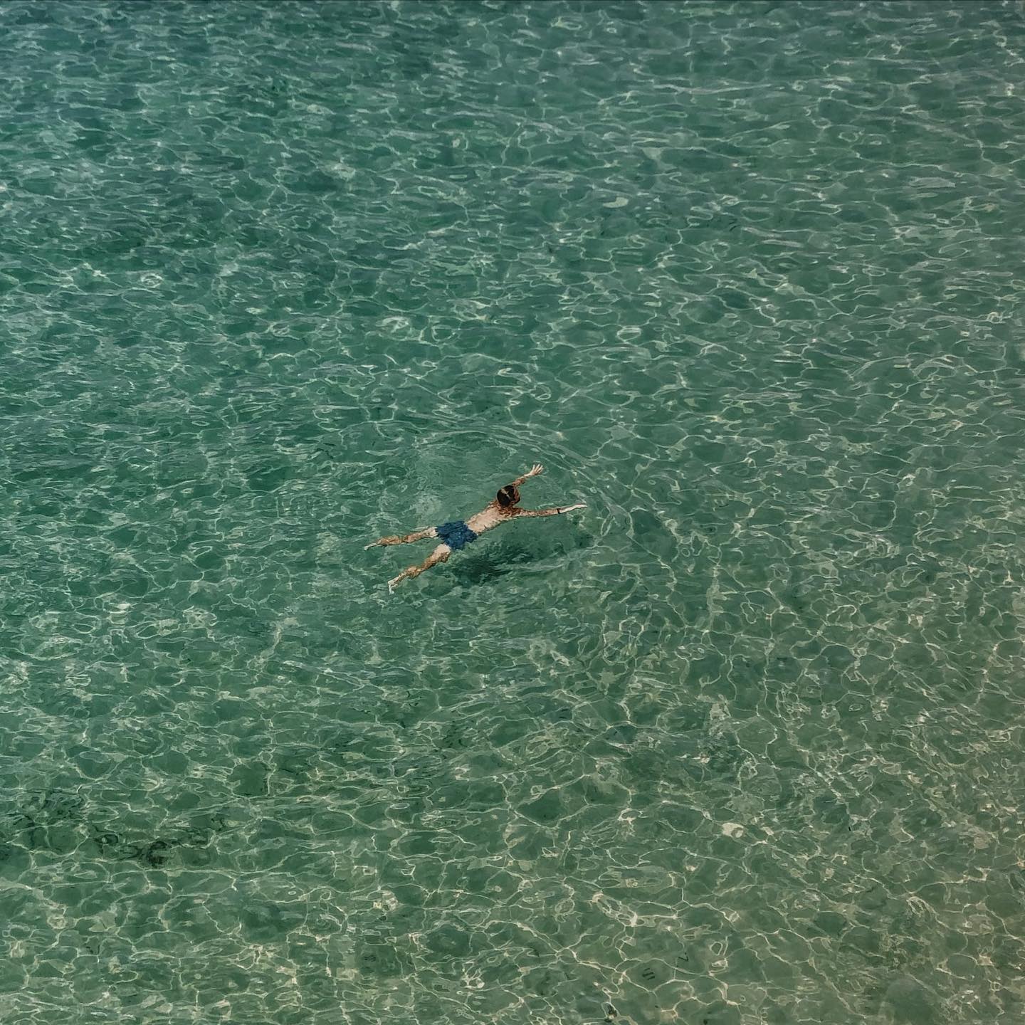 오늘 아주 잠깐 다시 여름💦
#요시고사진전 #물놀이원츄🏊